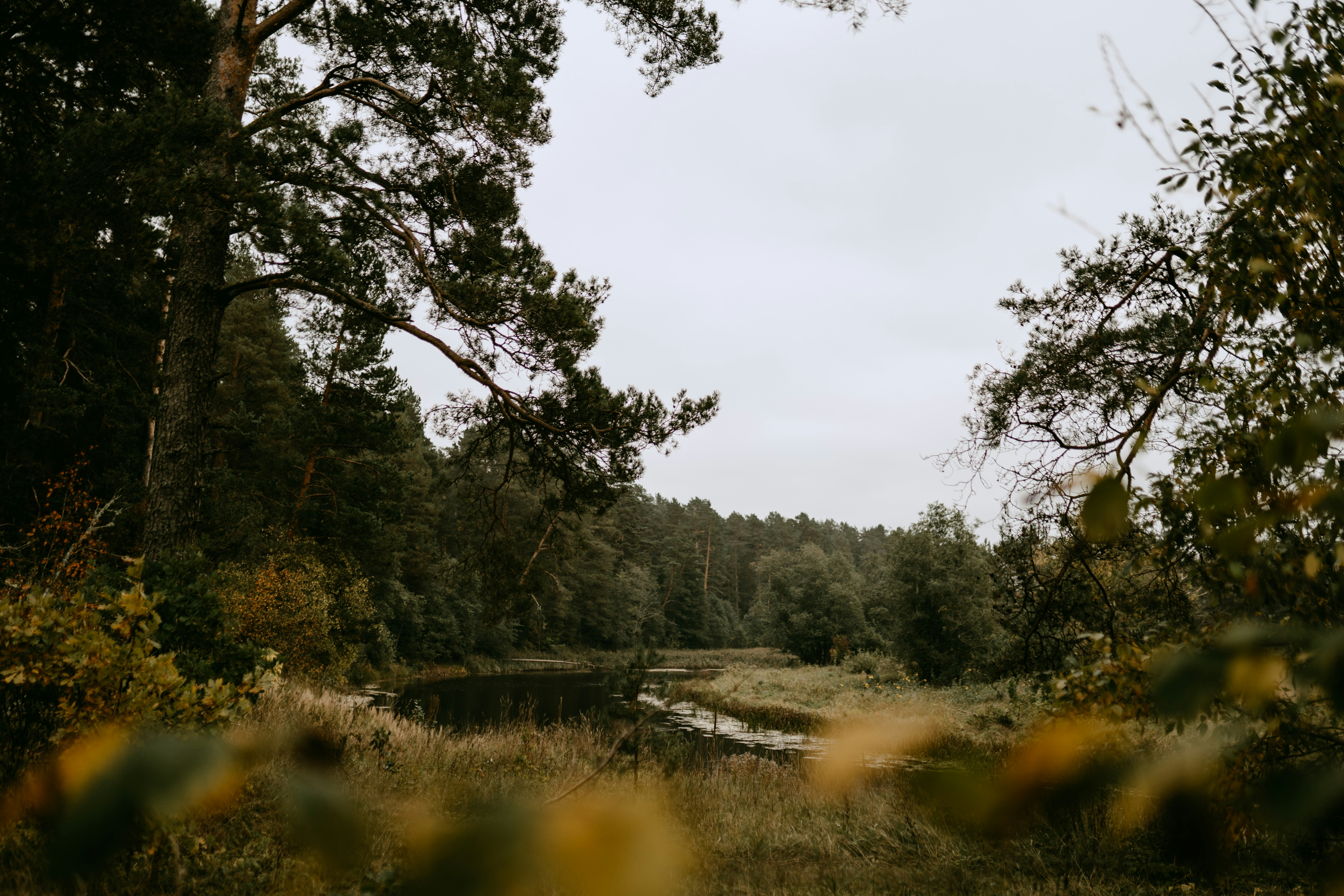 Photo by vilkuaivars