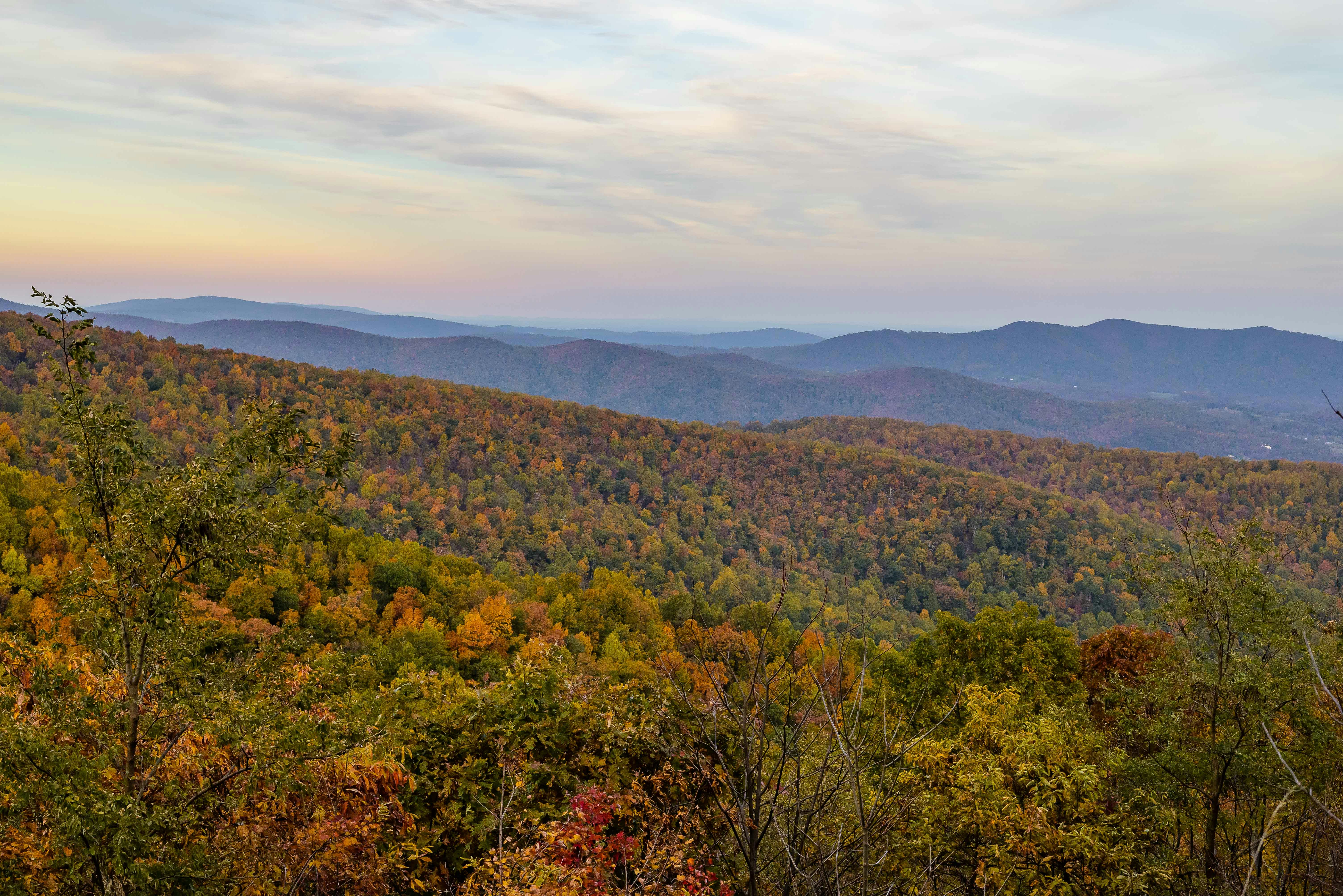 Photo by naveensnaidu25