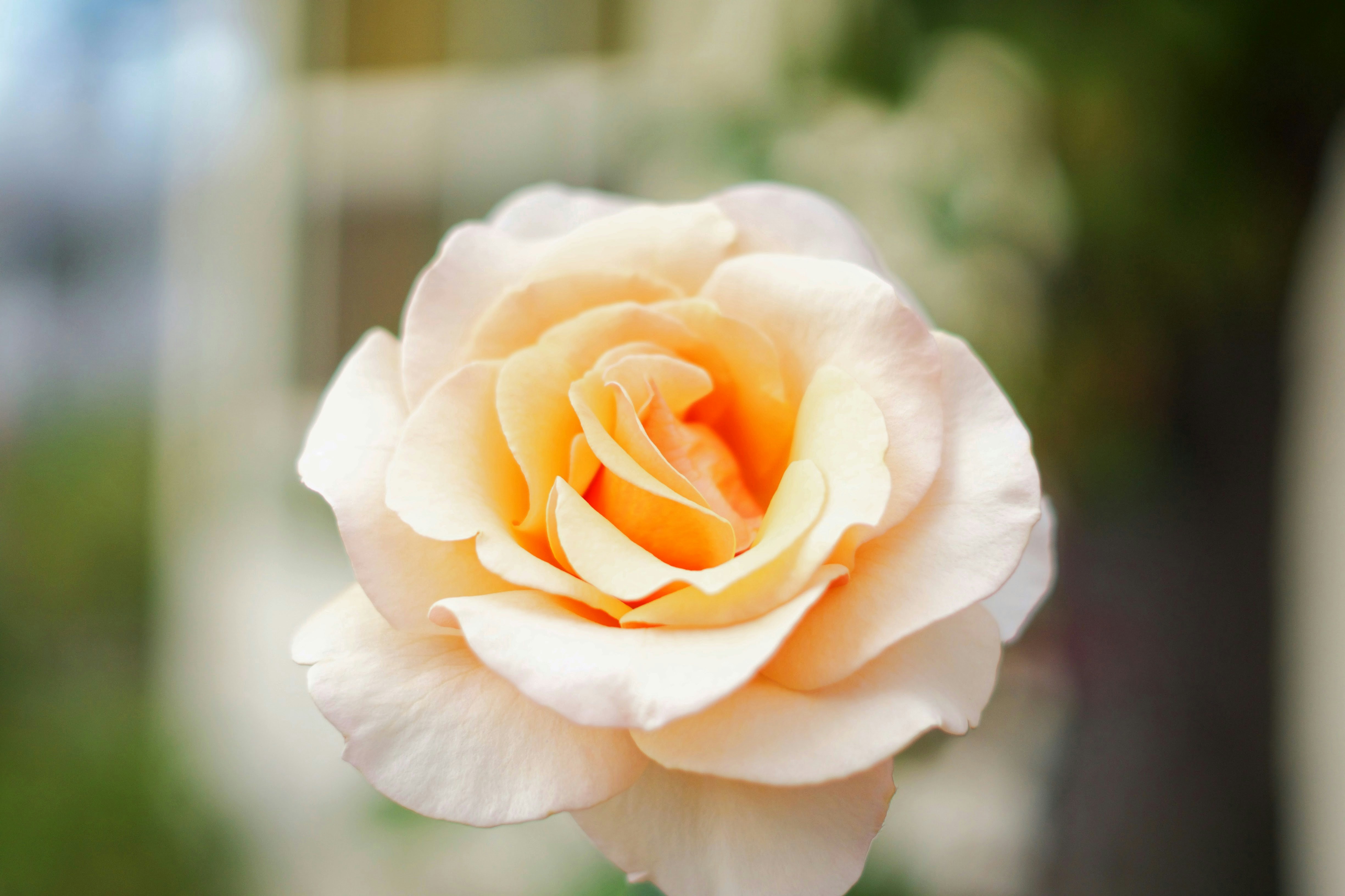 Photo by spencer_demera