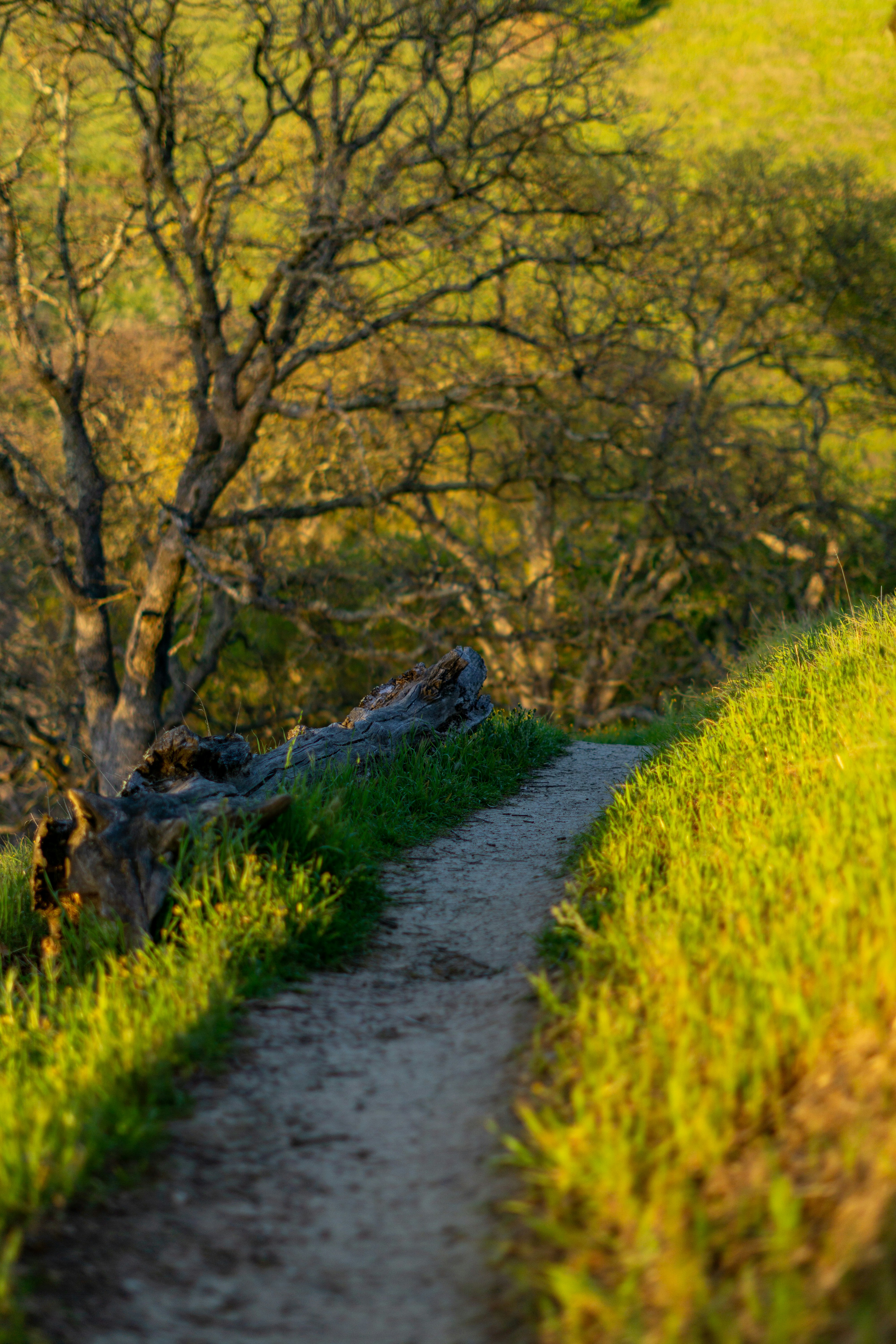 Photo by spencer_demera