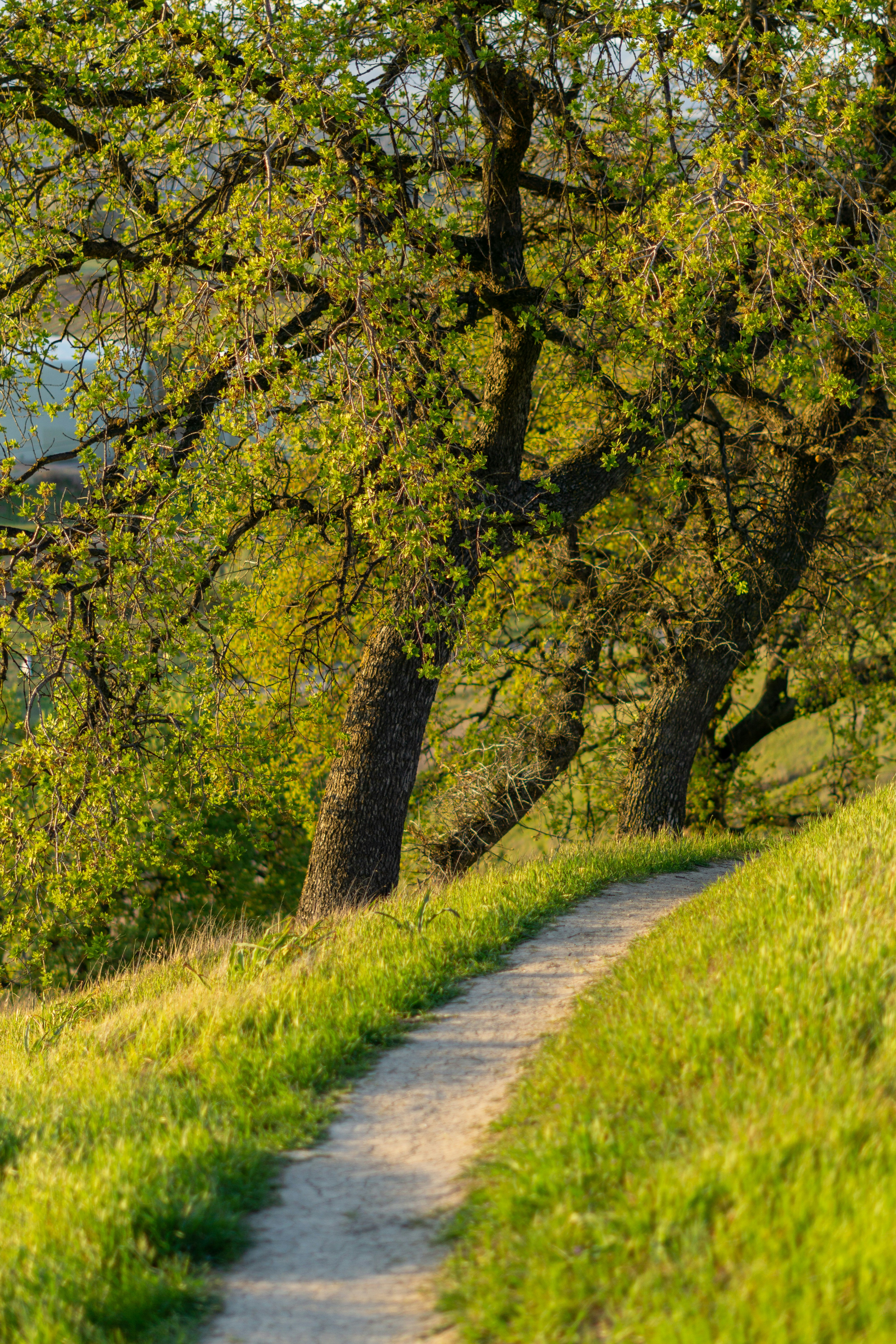 Photo by spencer_demera