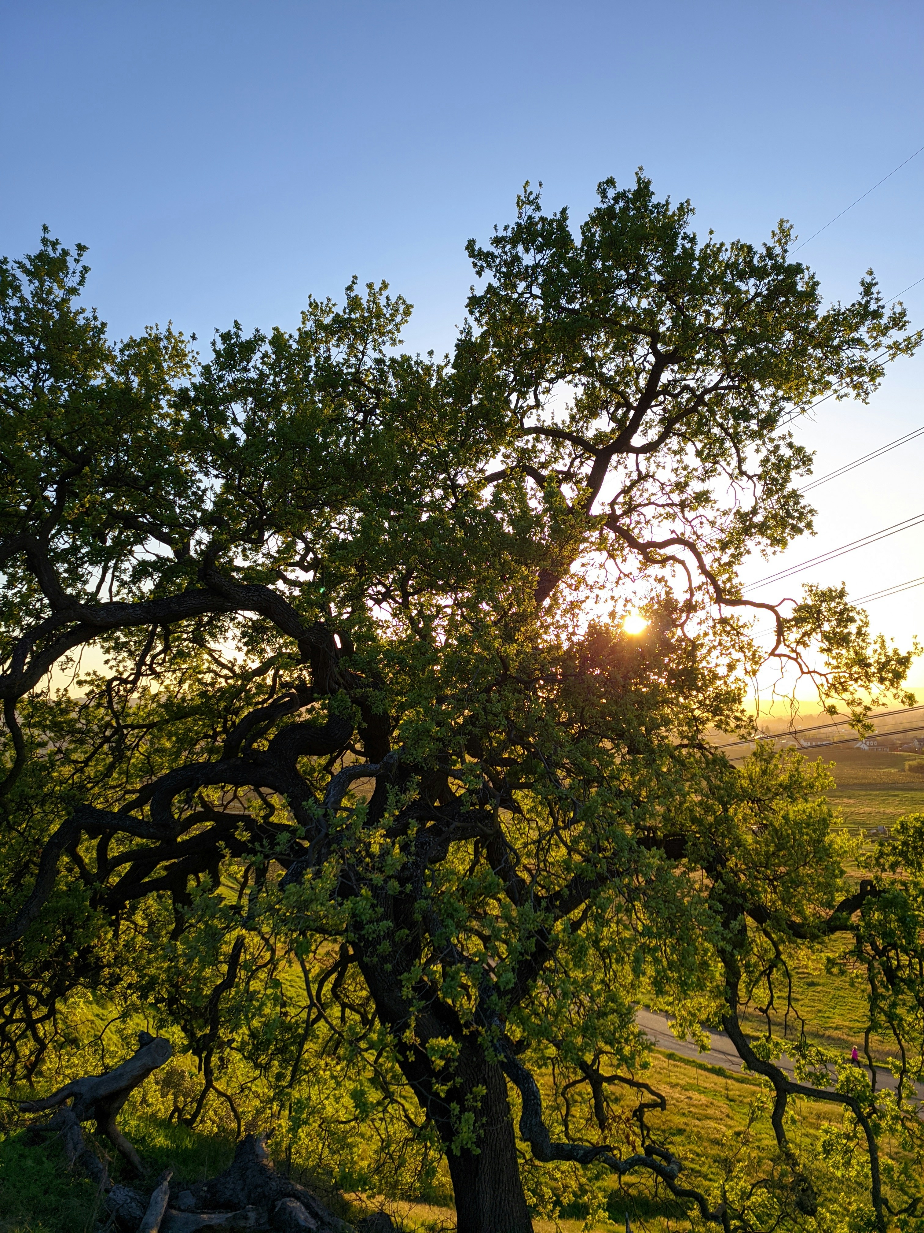 Photo by spencer_demera