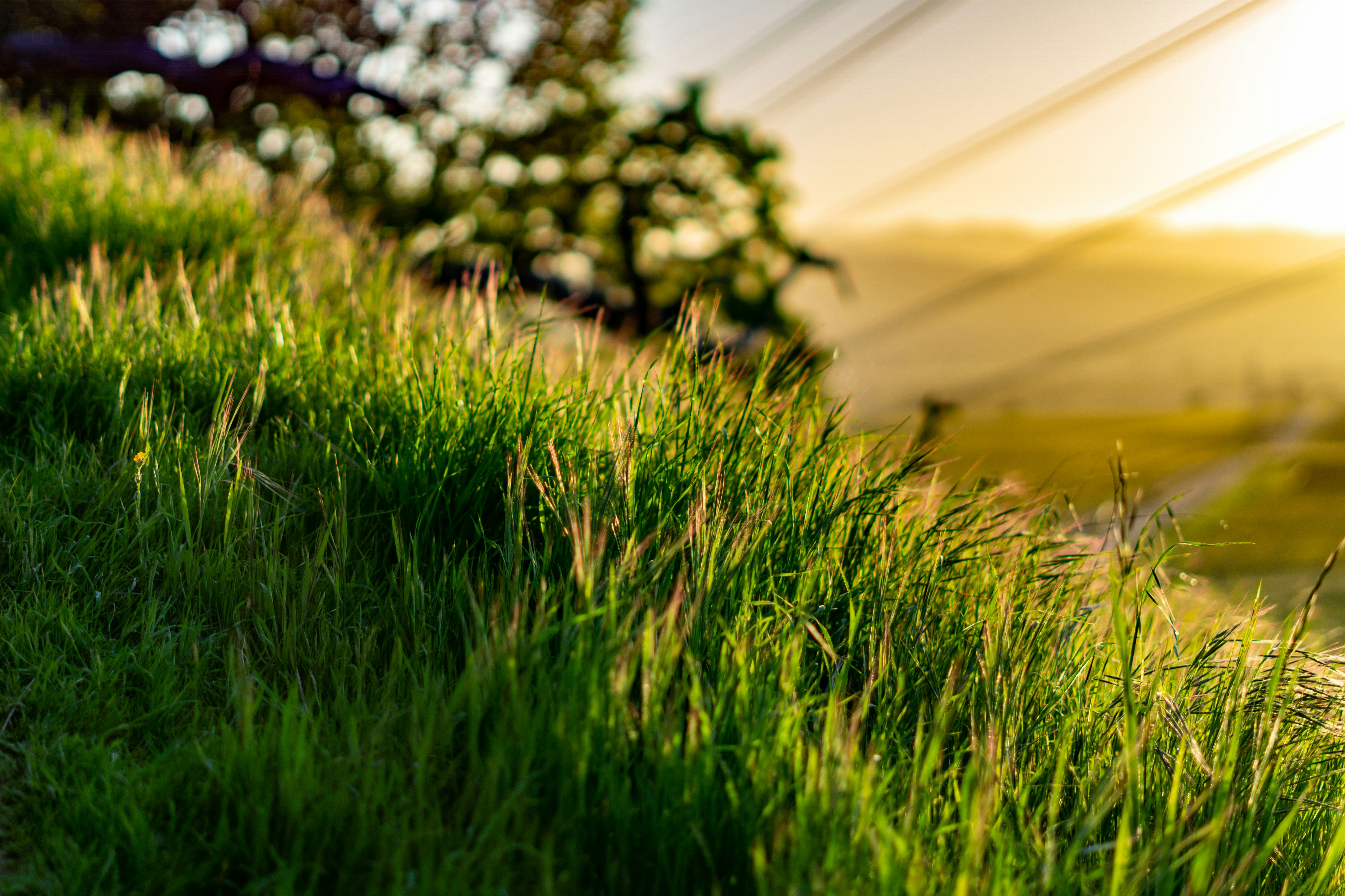 Photo by spencer_demera