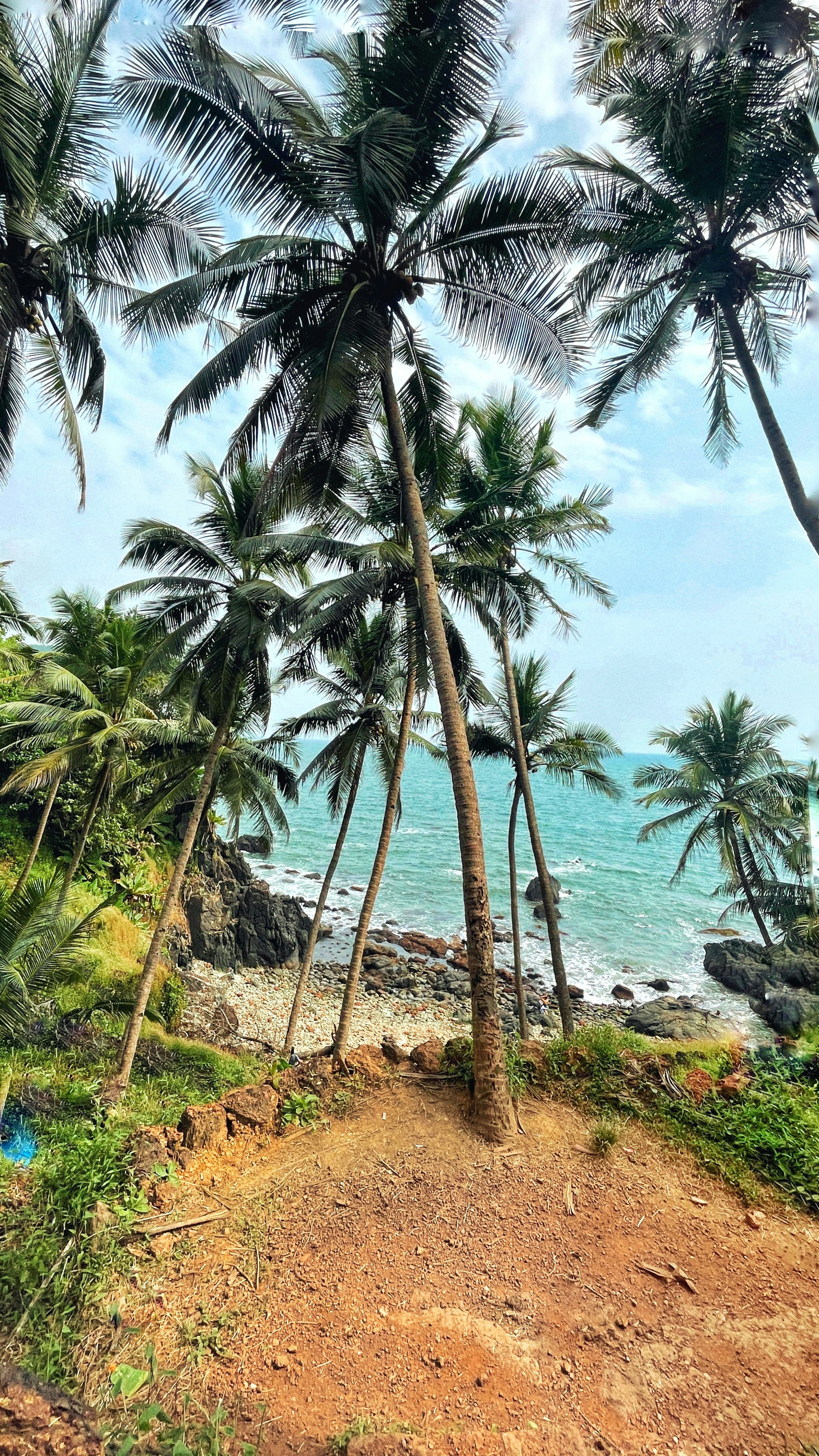 Photo by sauravpratihar