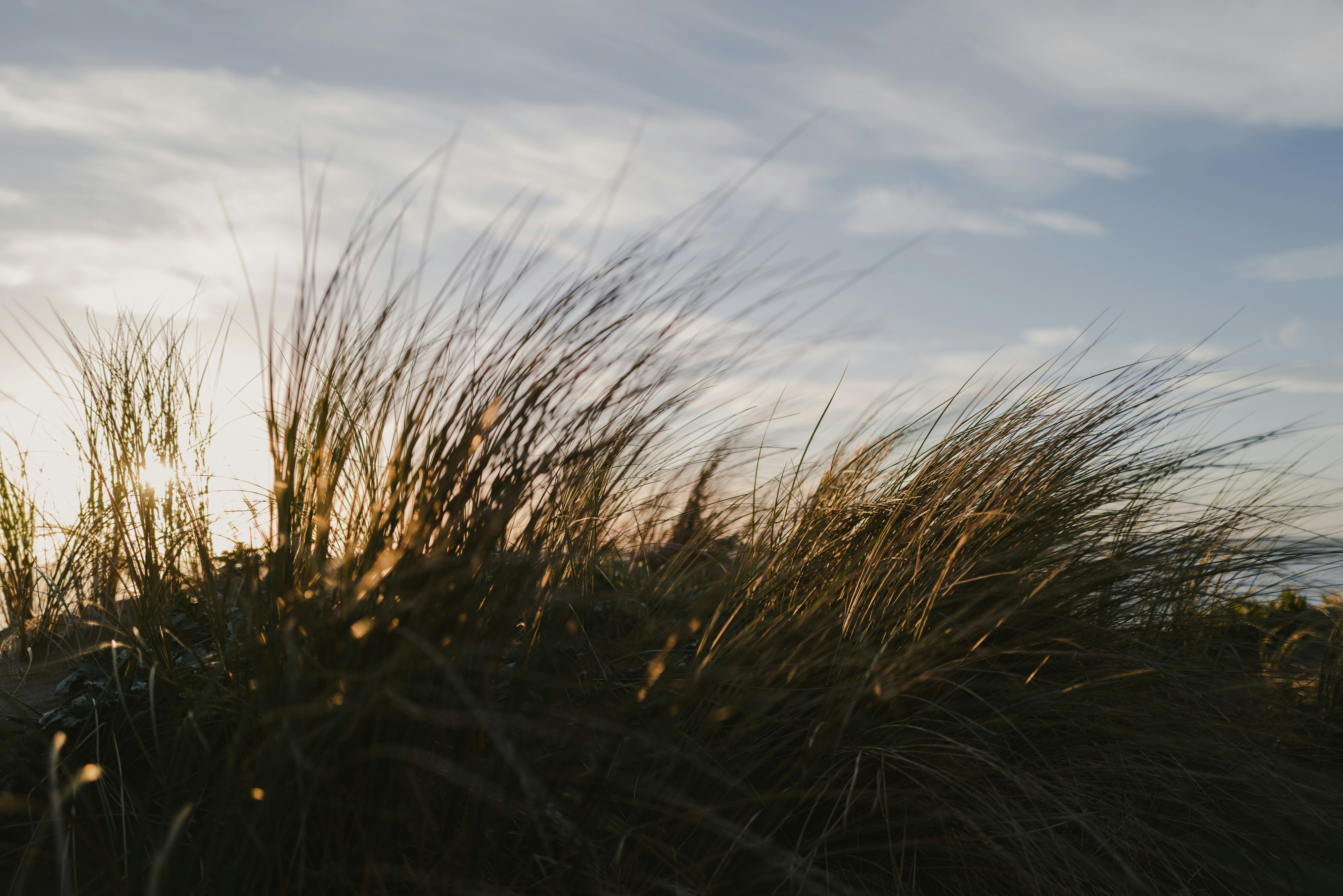 Photo by thommilkovic