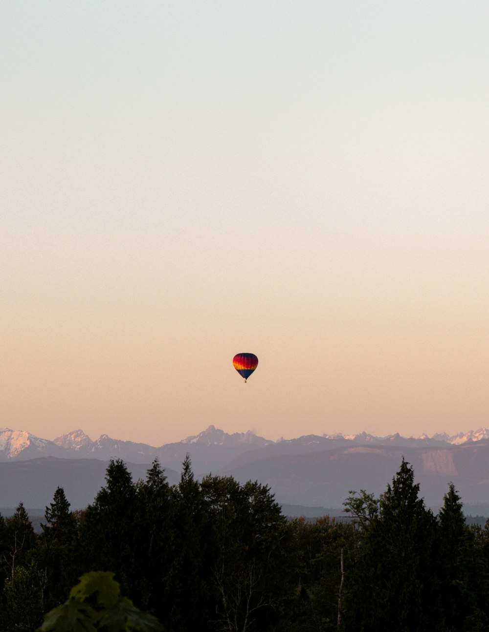 a hot air balloon flying over a forest