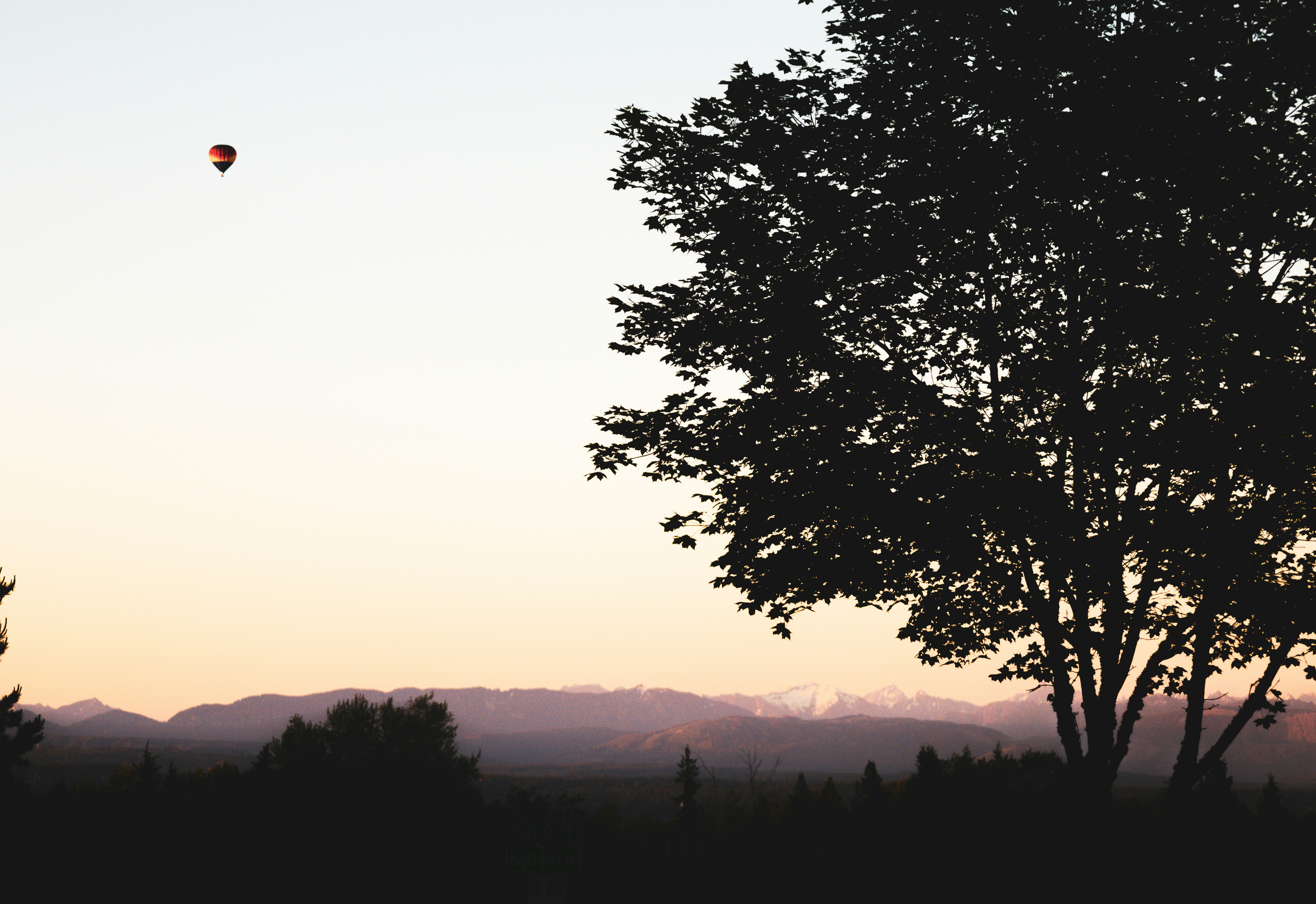 a hot air balloon in the sky above a tree
