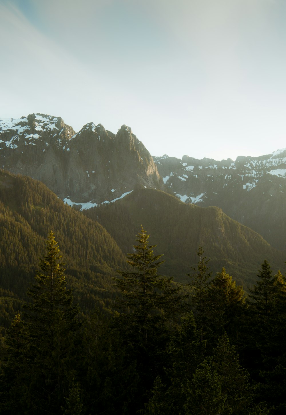 a view of a mountain range with trees in the foreground