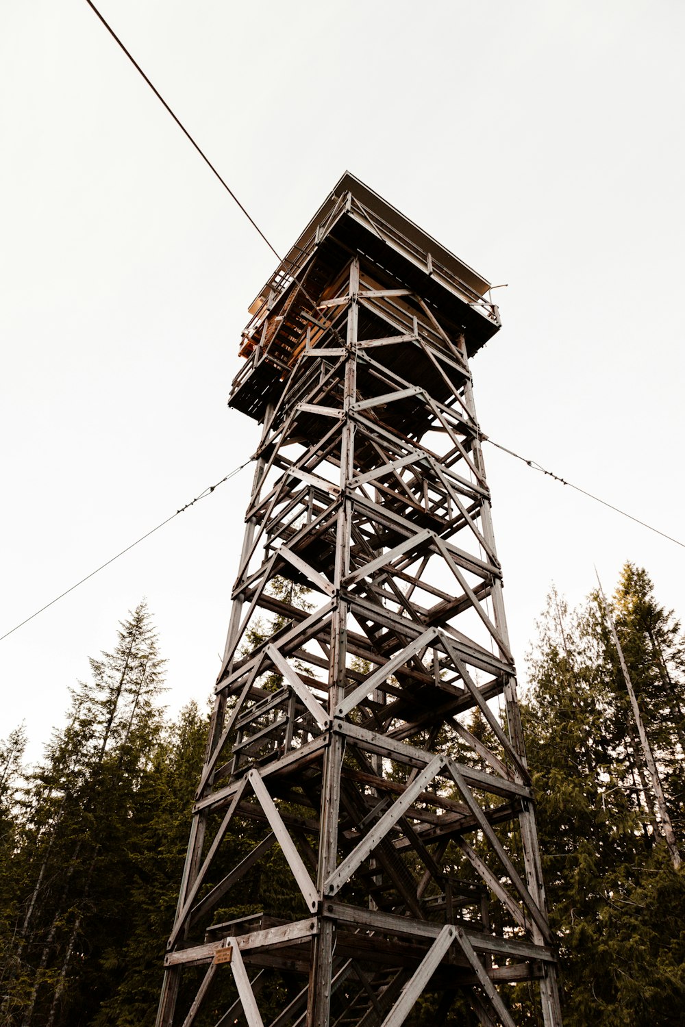 Une haute tour métallique assise au milieu d’une forêt