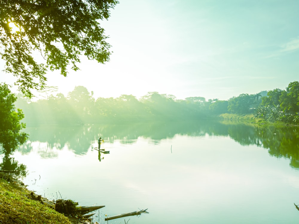 a body of water surrounded by trees and grass