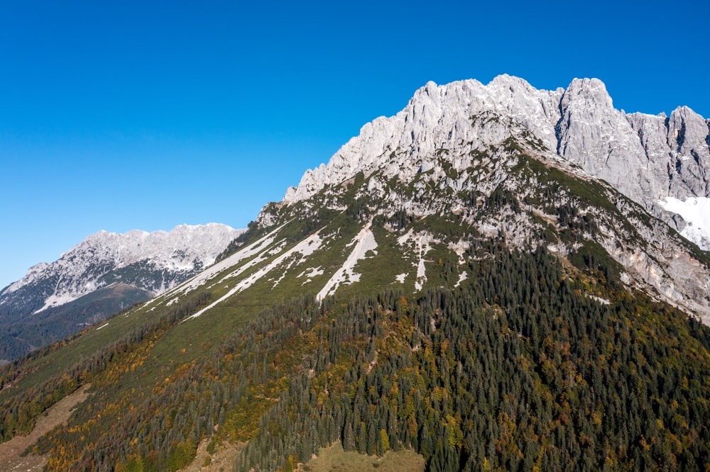 a view of a mountain with trees in the foreground