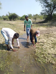 Scientists conducting water quality testing in a river.