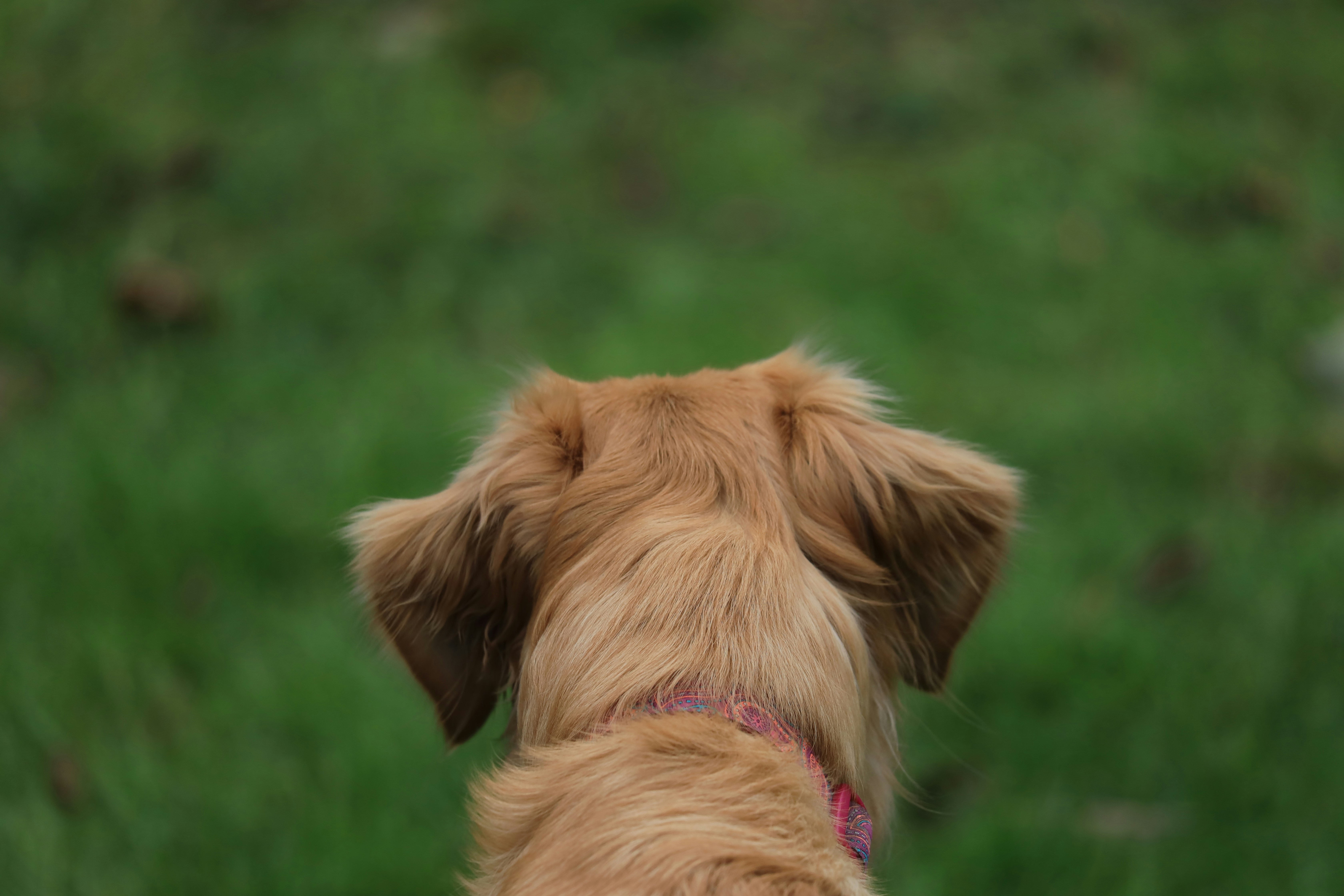 Photo by richardworks