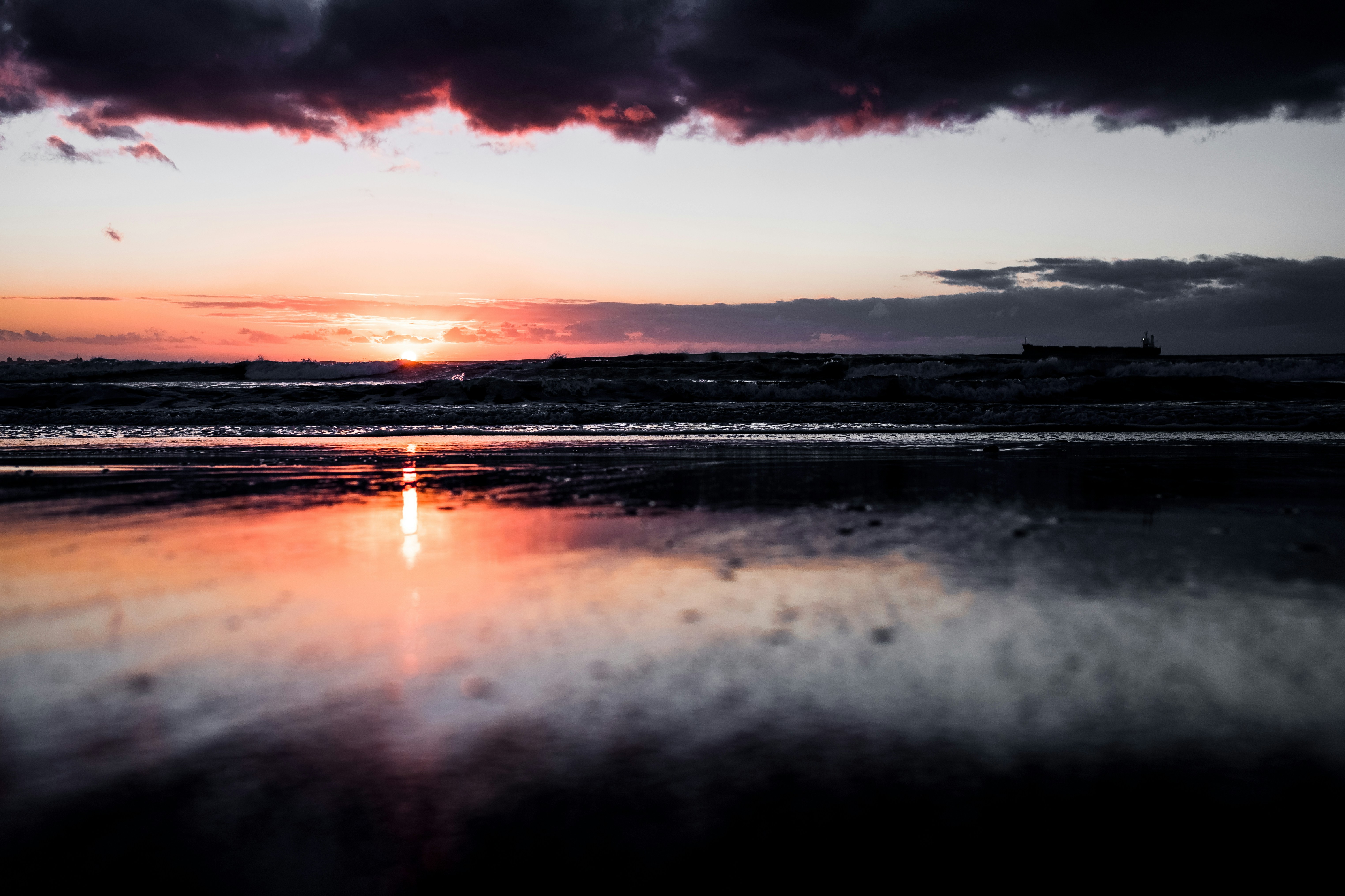 Photo by seanryanbrookes