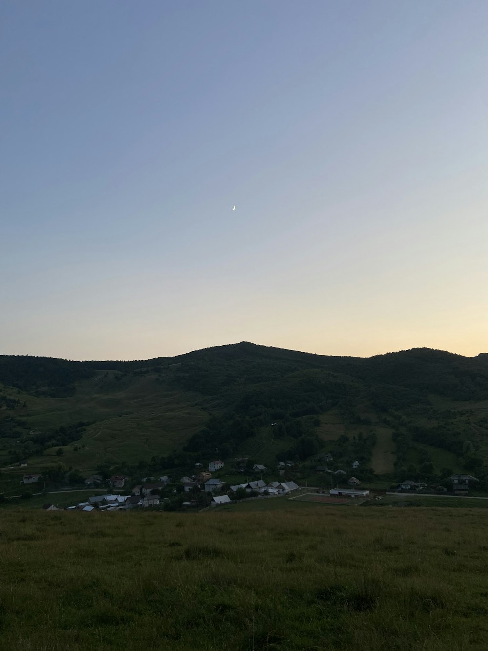 a grassy field with a hill in the background