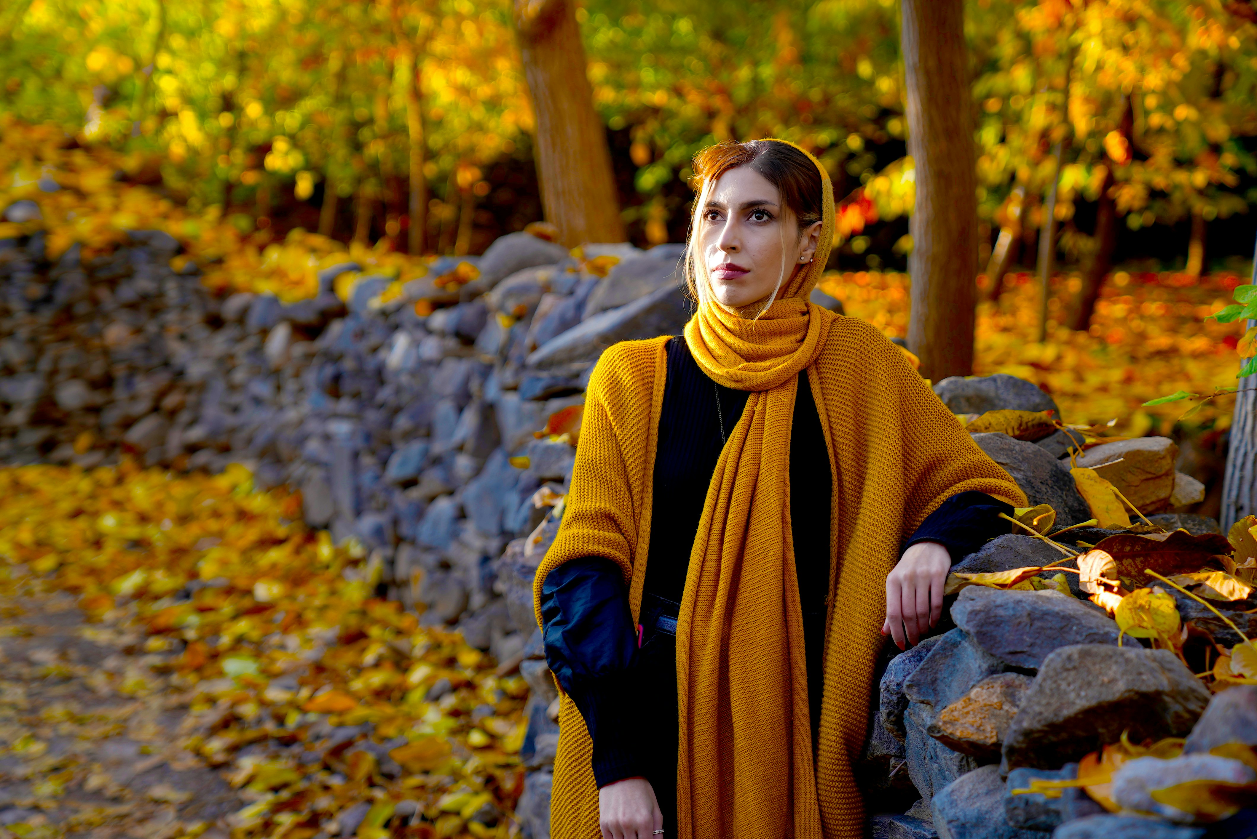 Beautiful girl in the autumn forest 