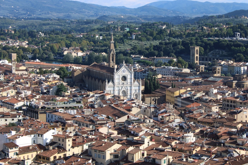 a view of a city with a church and mountains in the background