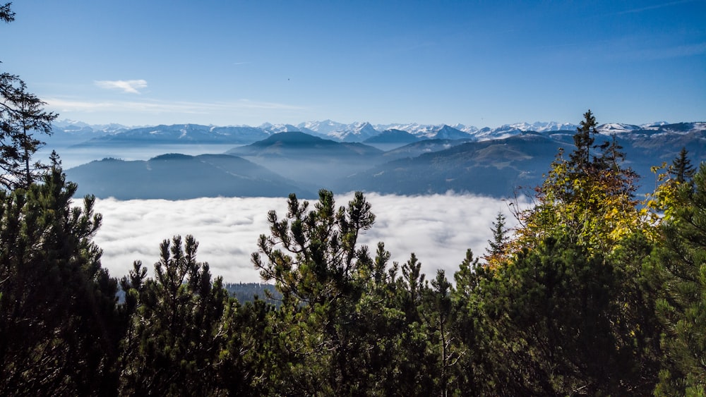 Una vista de las montañas y las nubes desde la cima de una montaña