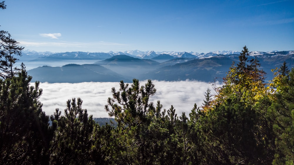 Blick auf die Berge und Wolken von der Spitze eines Berges