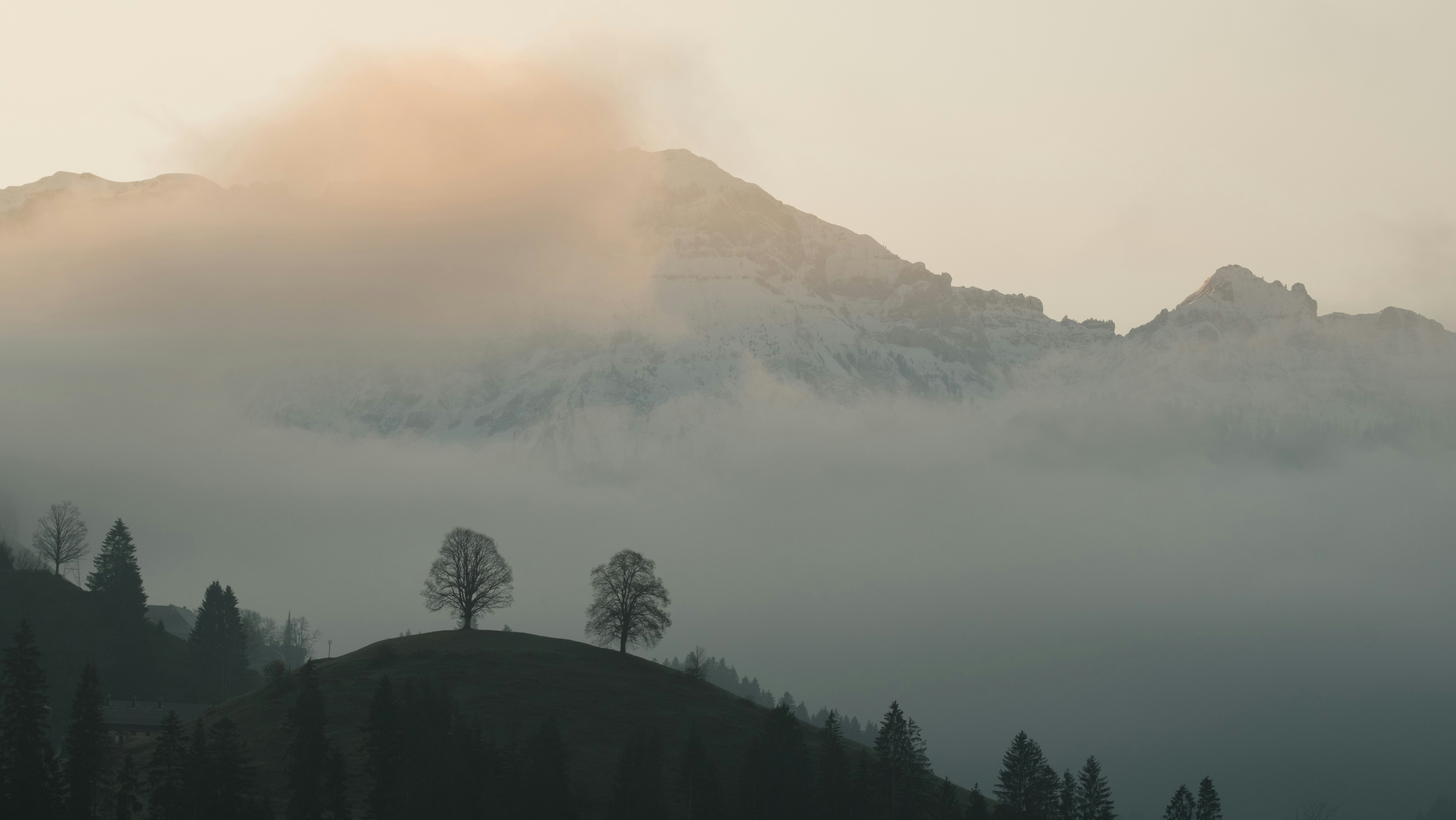 Photo by fabianbetto