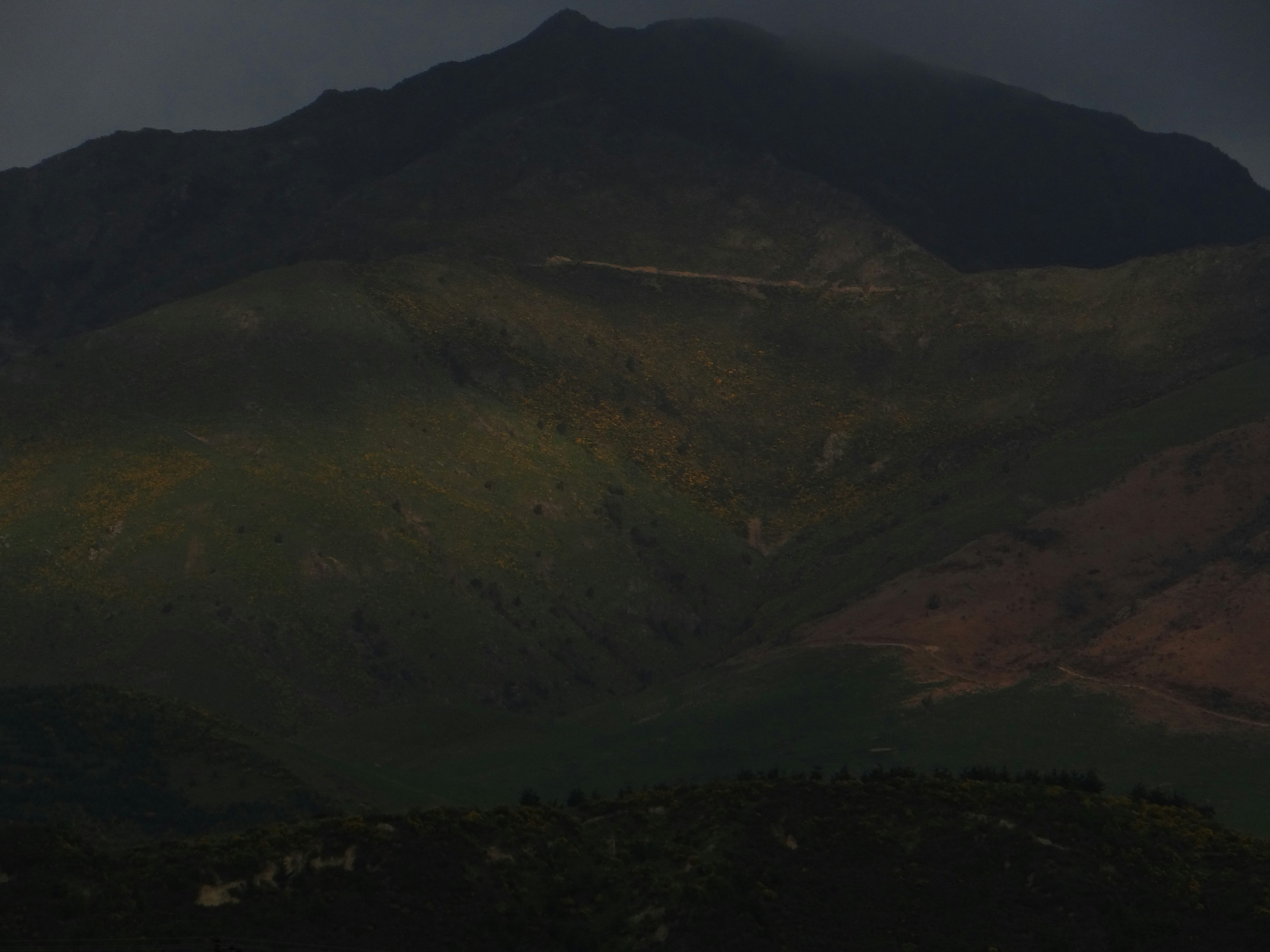 Two paths diverging in dark landscape, low-key dramatic lighting, moody atmosphere
