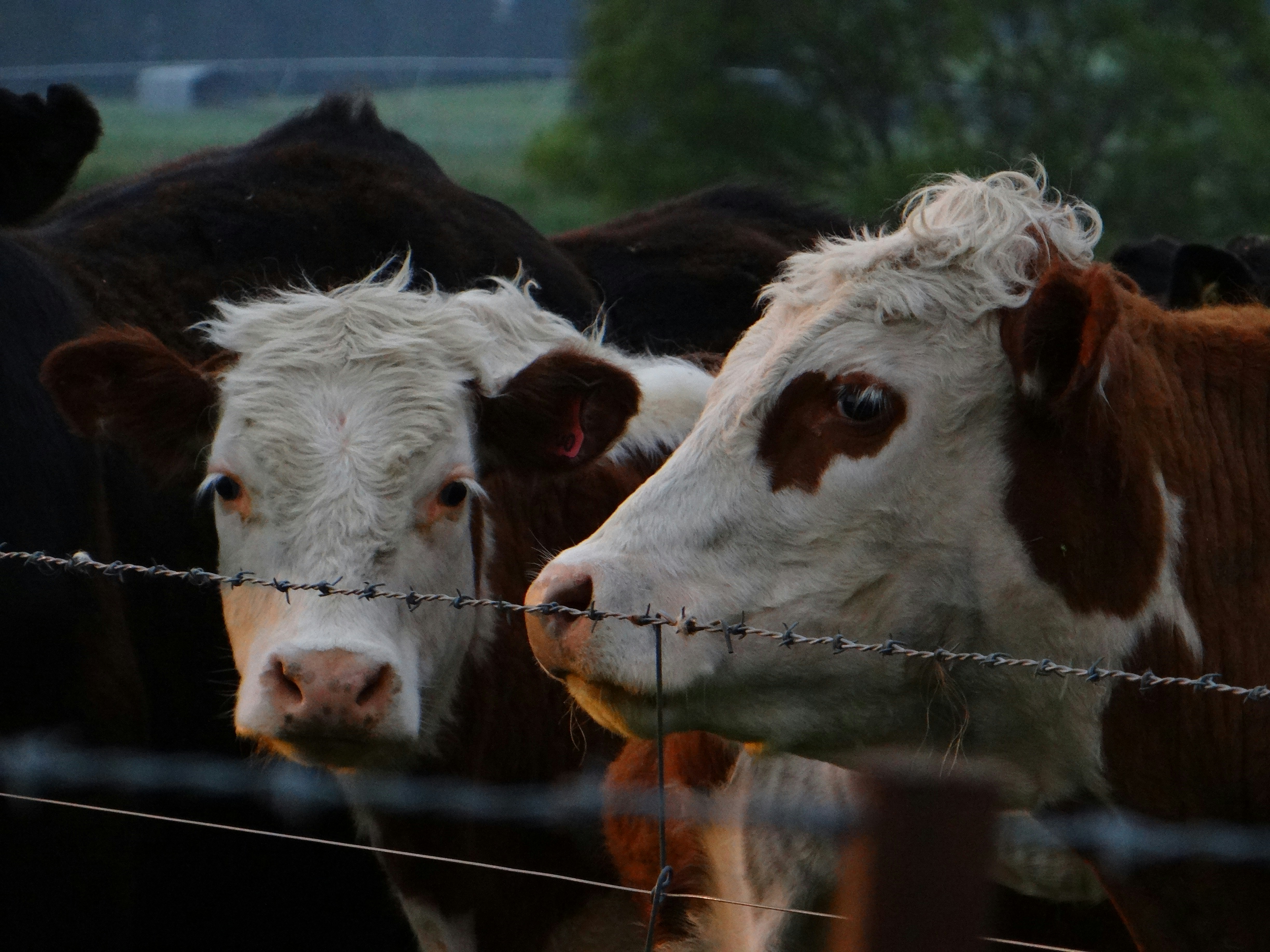 Photo by jadeg262005