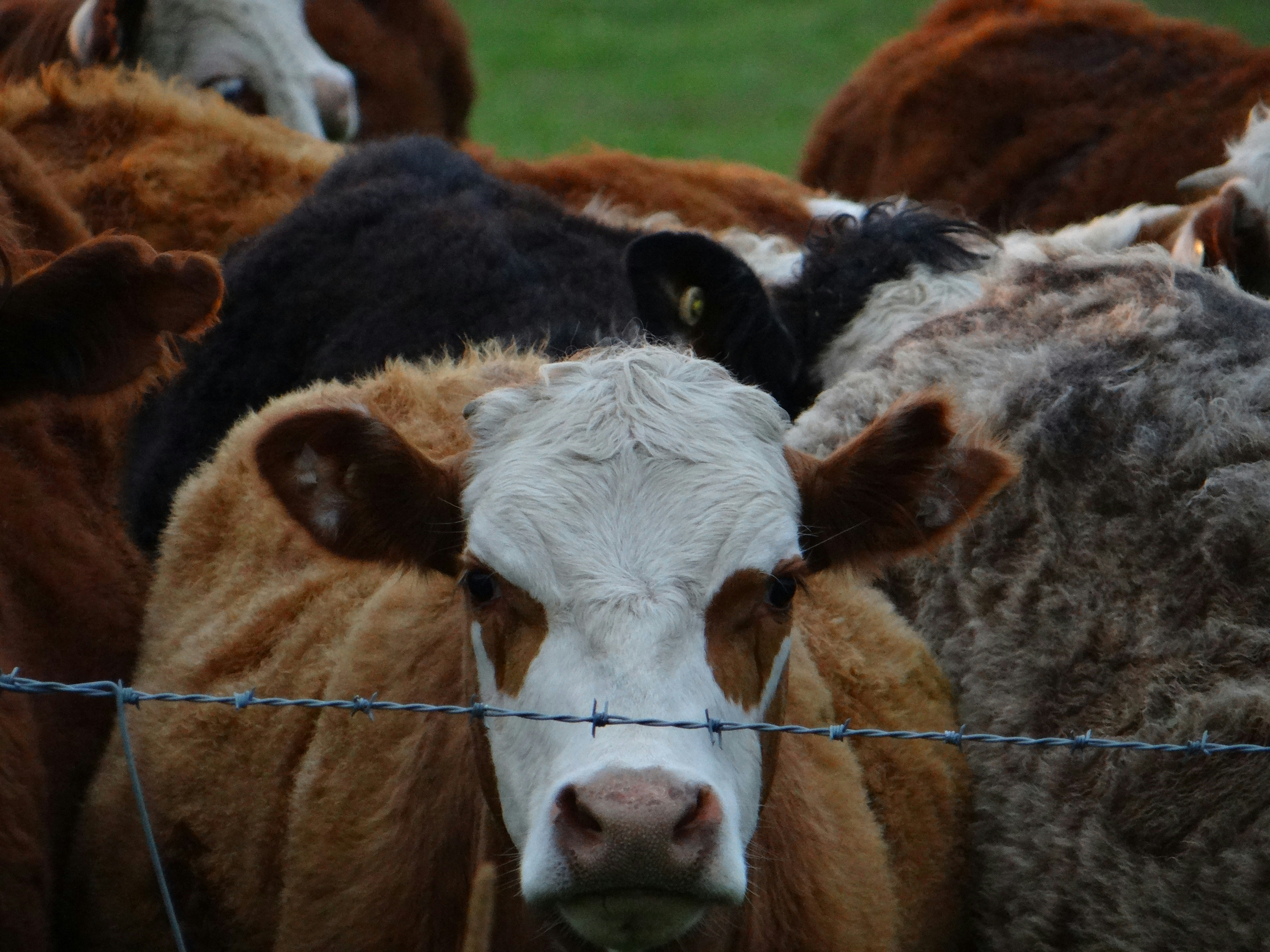 Photo by jadeg262005