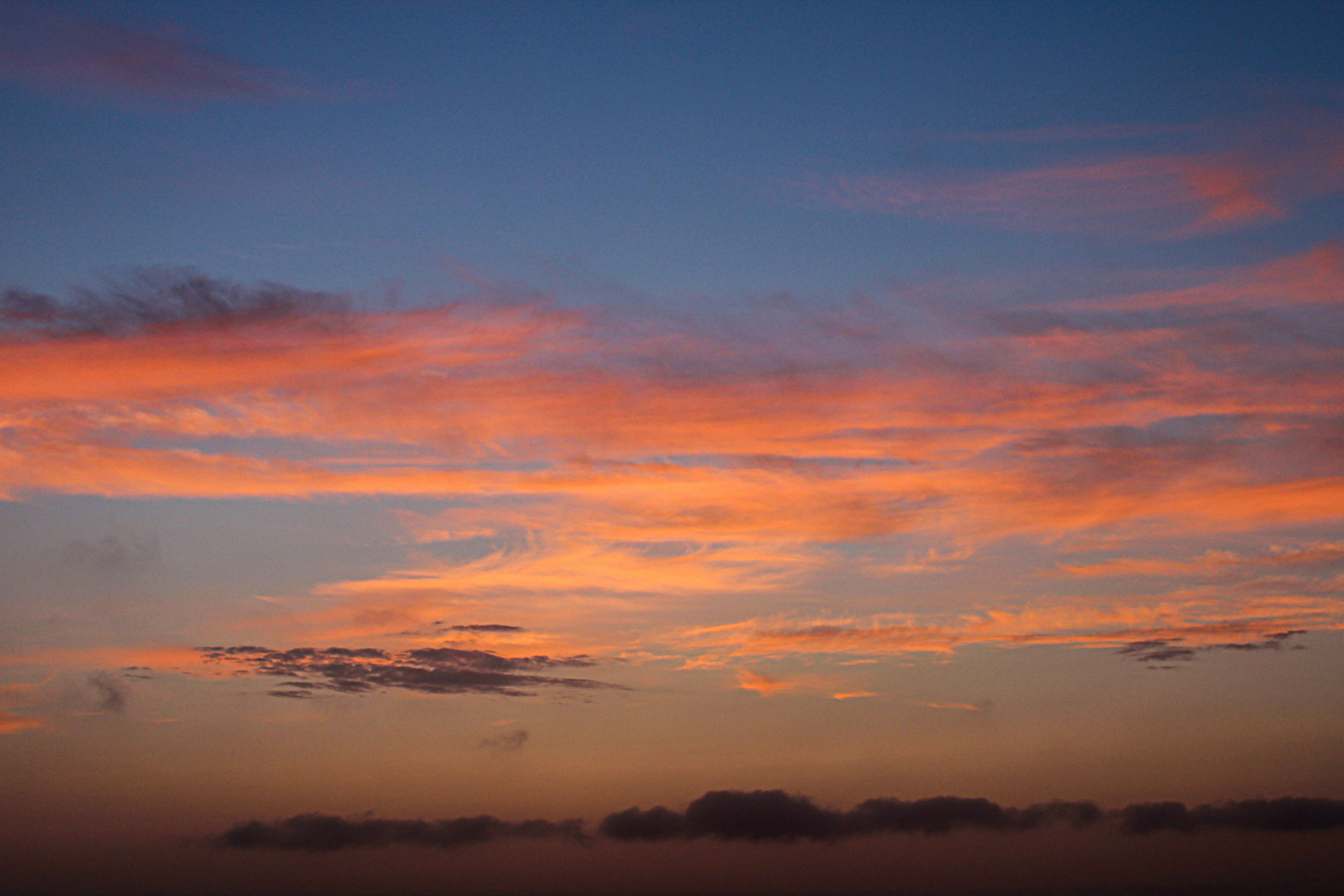 Photo by emigrantotomboyphotographygyvenimas