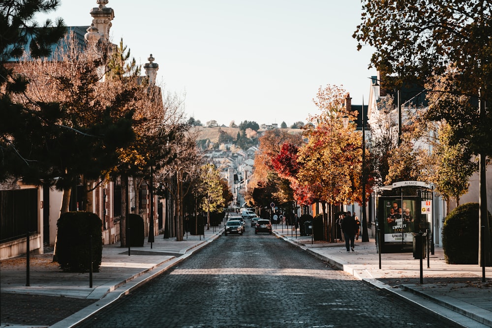 a city street lined with parked cars and trees