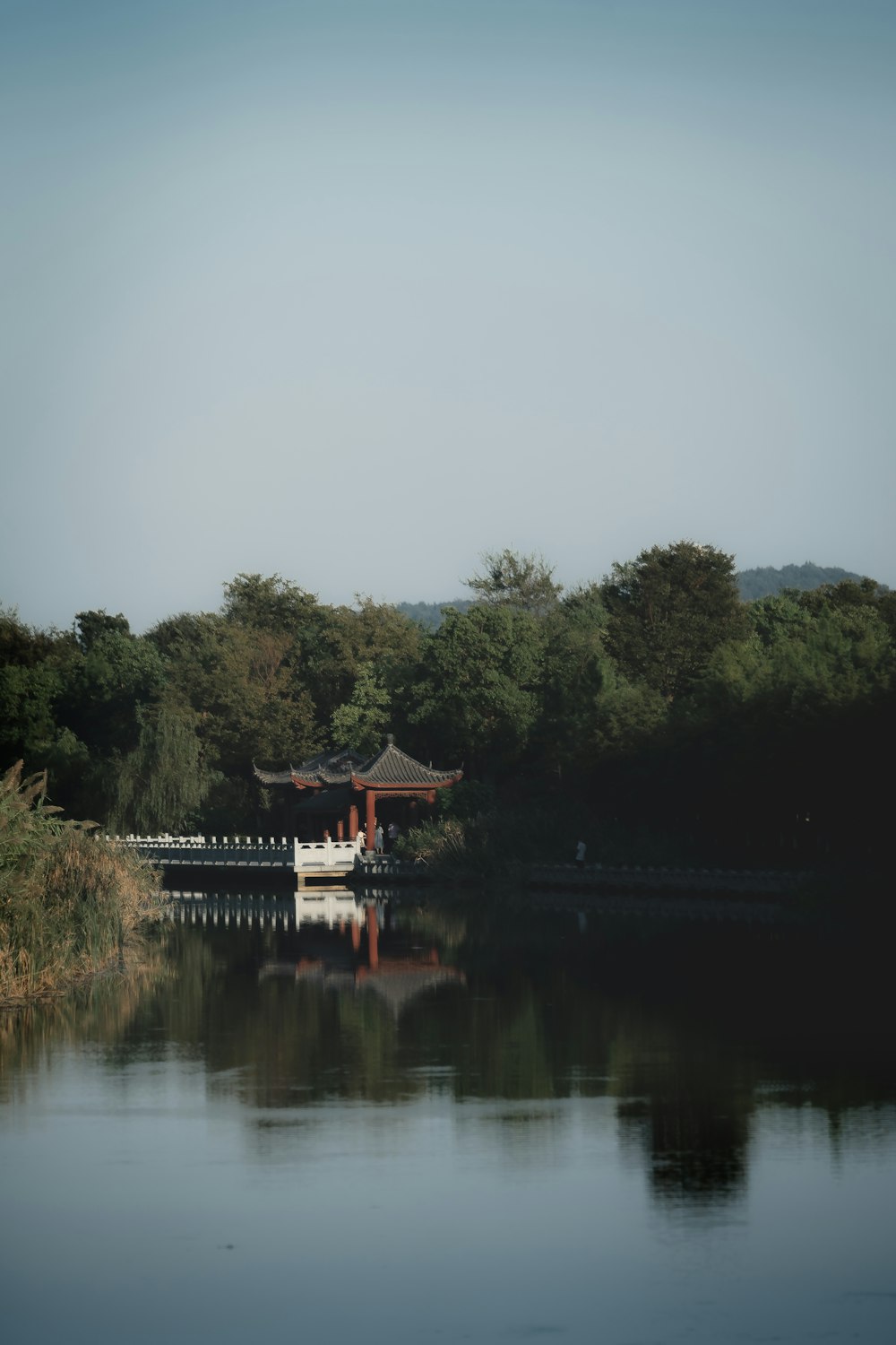 a boat on the water near a forest