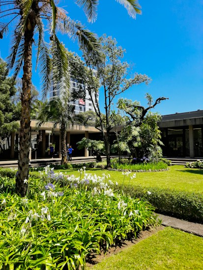Tall palm trees and other lush greenery surround a manicured lawn with neatly arranged flower beds filled with white and lavender blossoms. A modern building can be seen in the background under a clear blue sky.