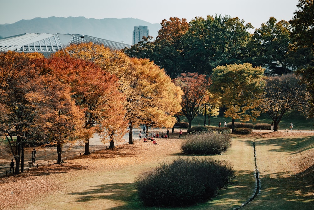 a park filled with lots of trees next to a tall building