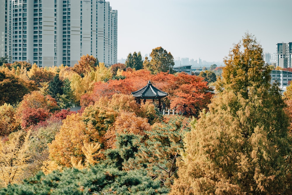 a gazebo surrounded by trees in a city park