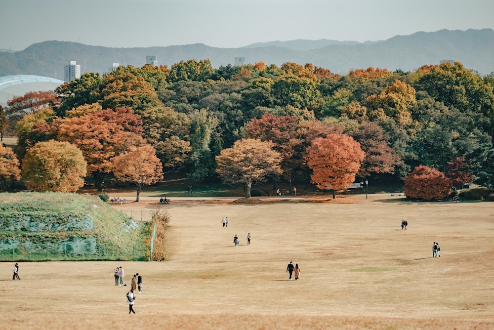 a group of people standing on top of a grass covered field