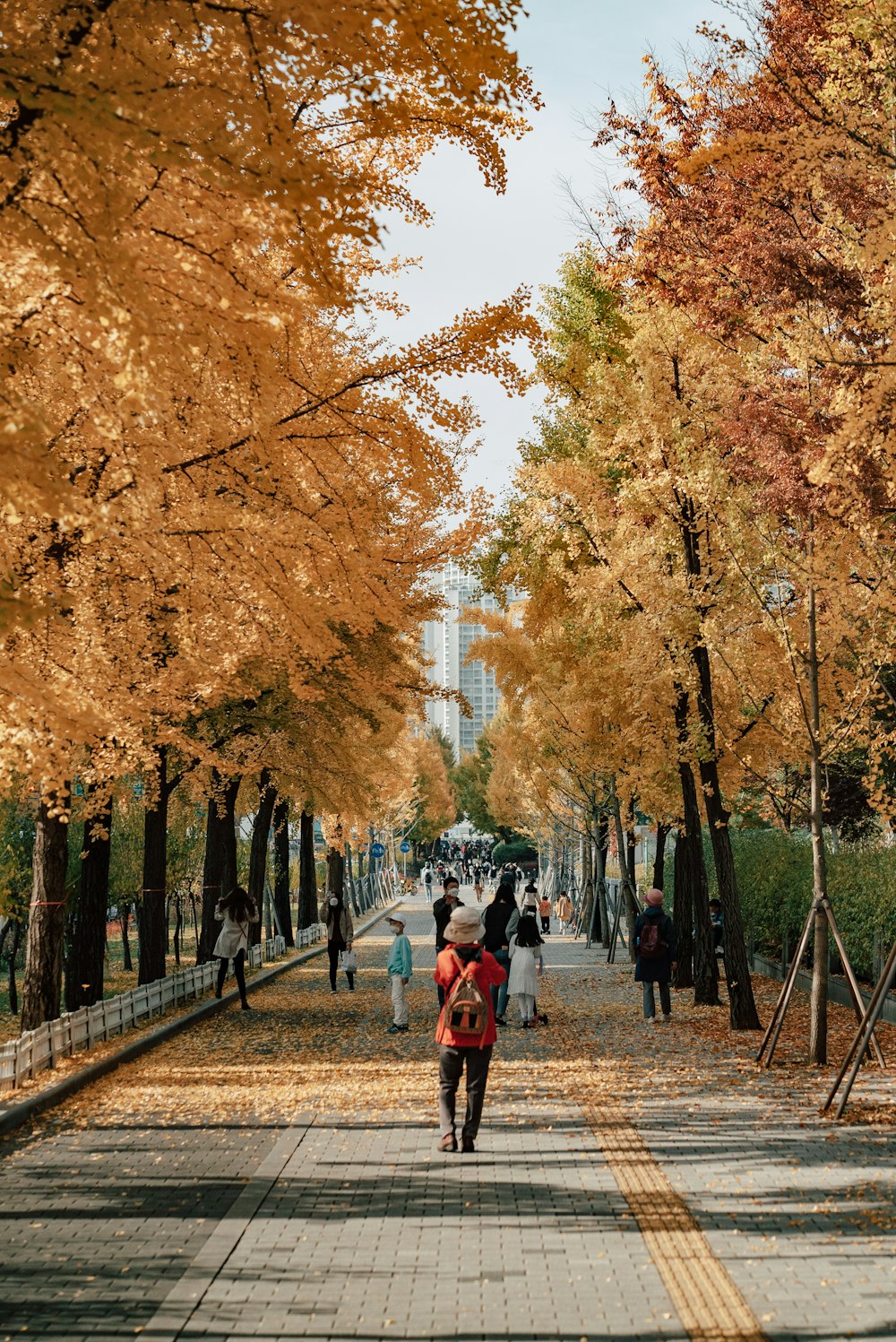 a woman walking down a sidewalk in a park