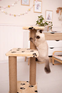 a cat climbing on a cat tree in a living room