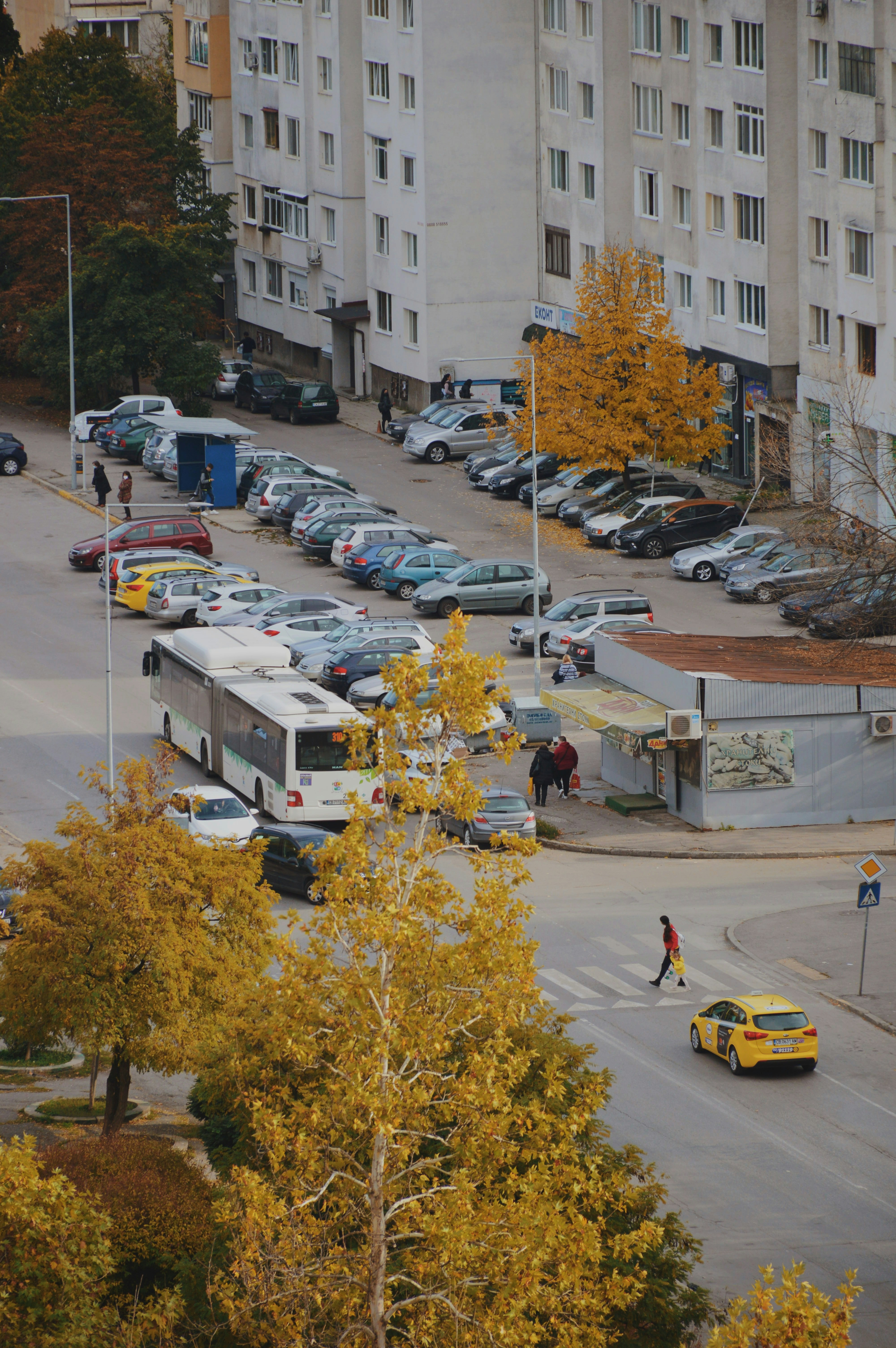 Vitosha Boulevard: Sofia's Premier Shopping Street