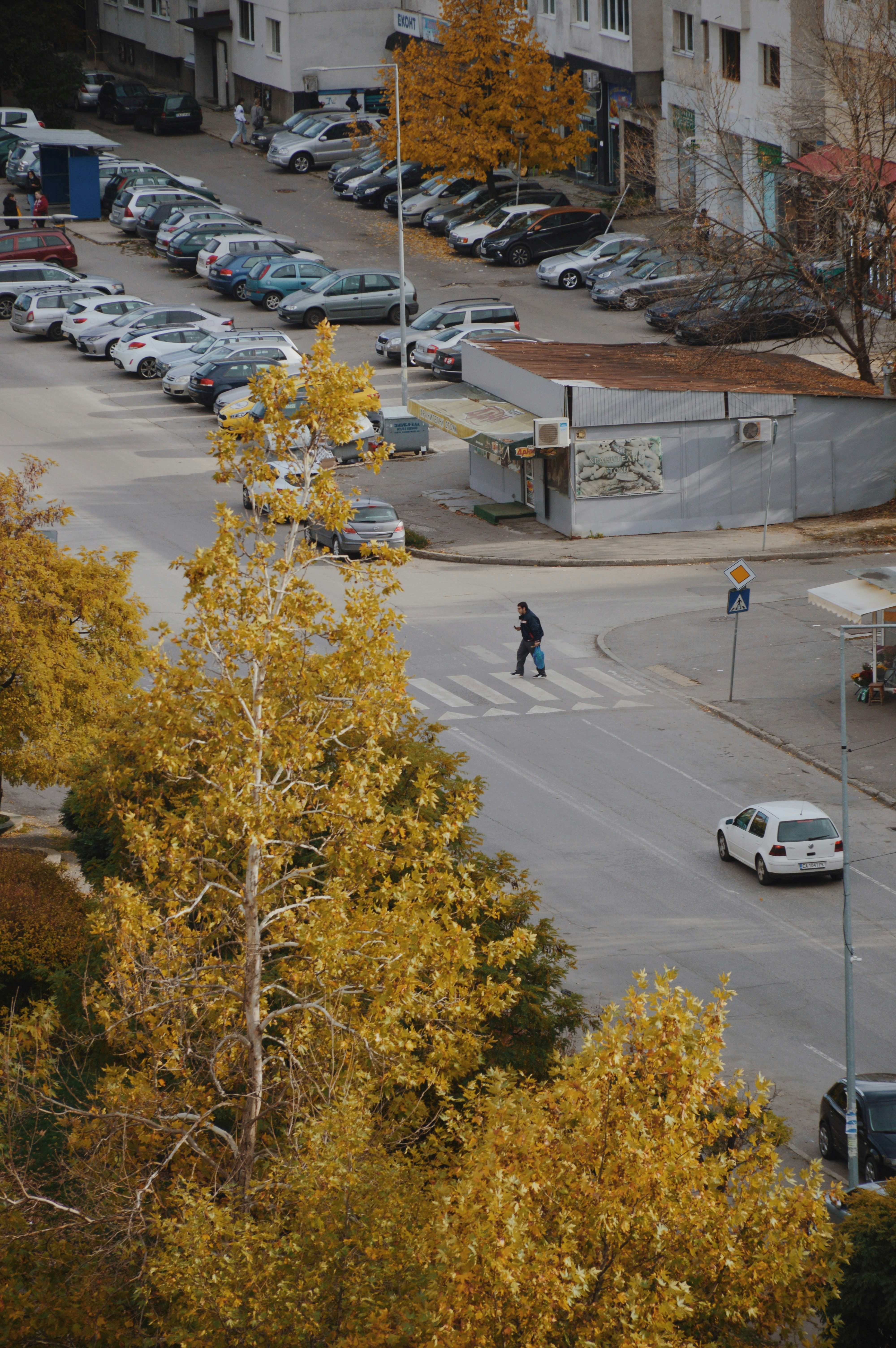Traditional Markets and Bazaars