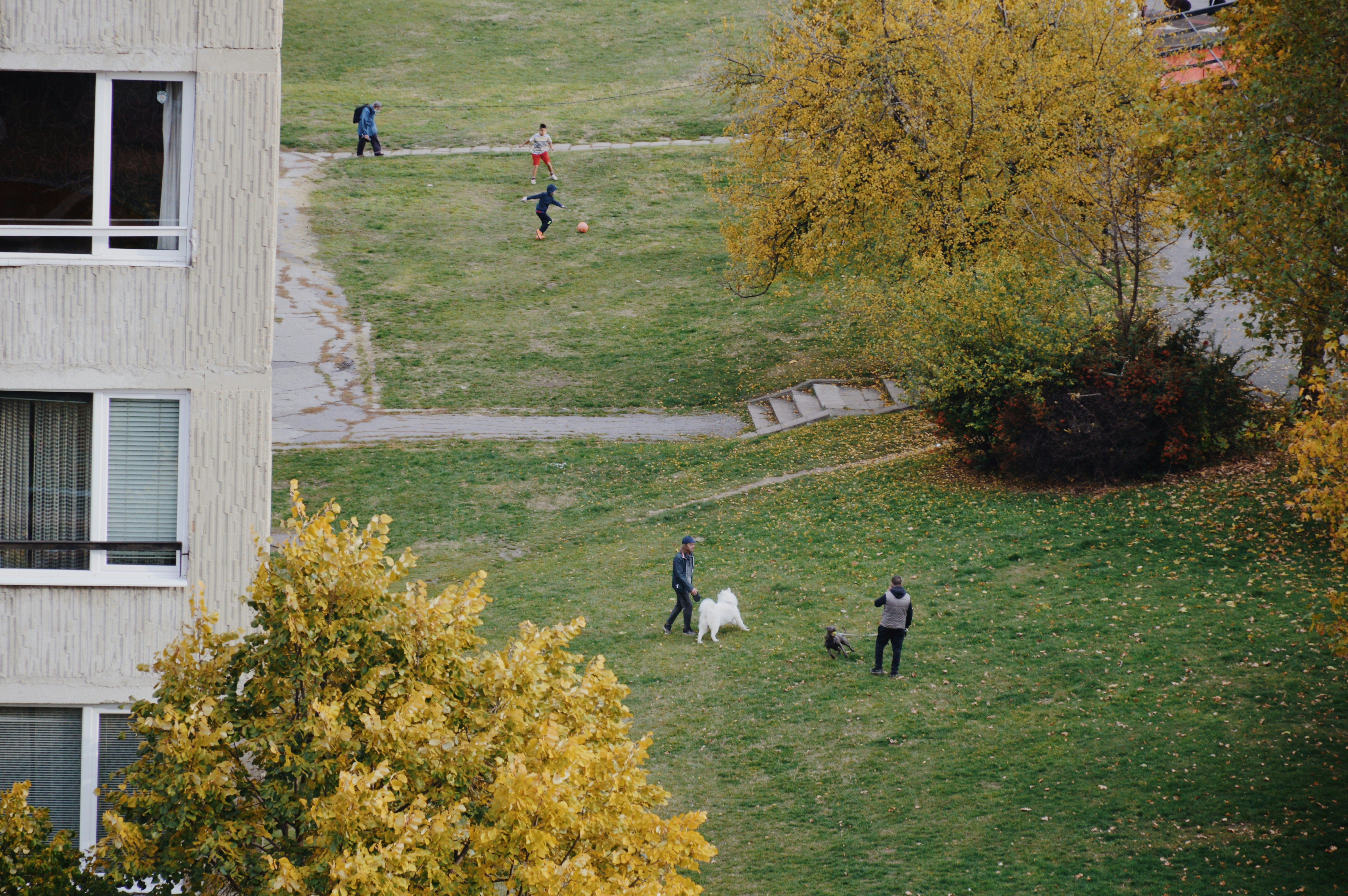 a group of people walking around a lush green field