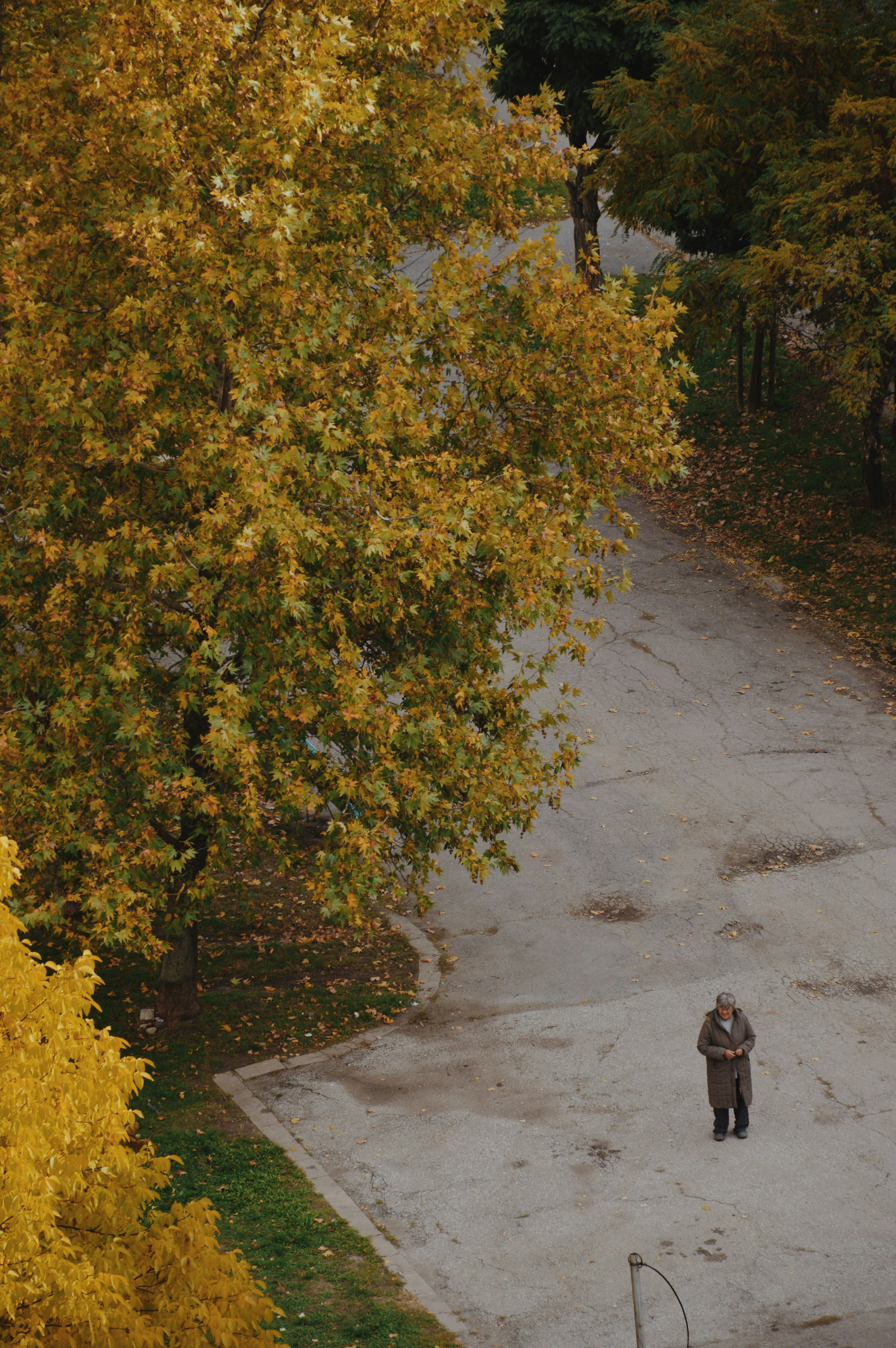 Photo by kodaky_lover