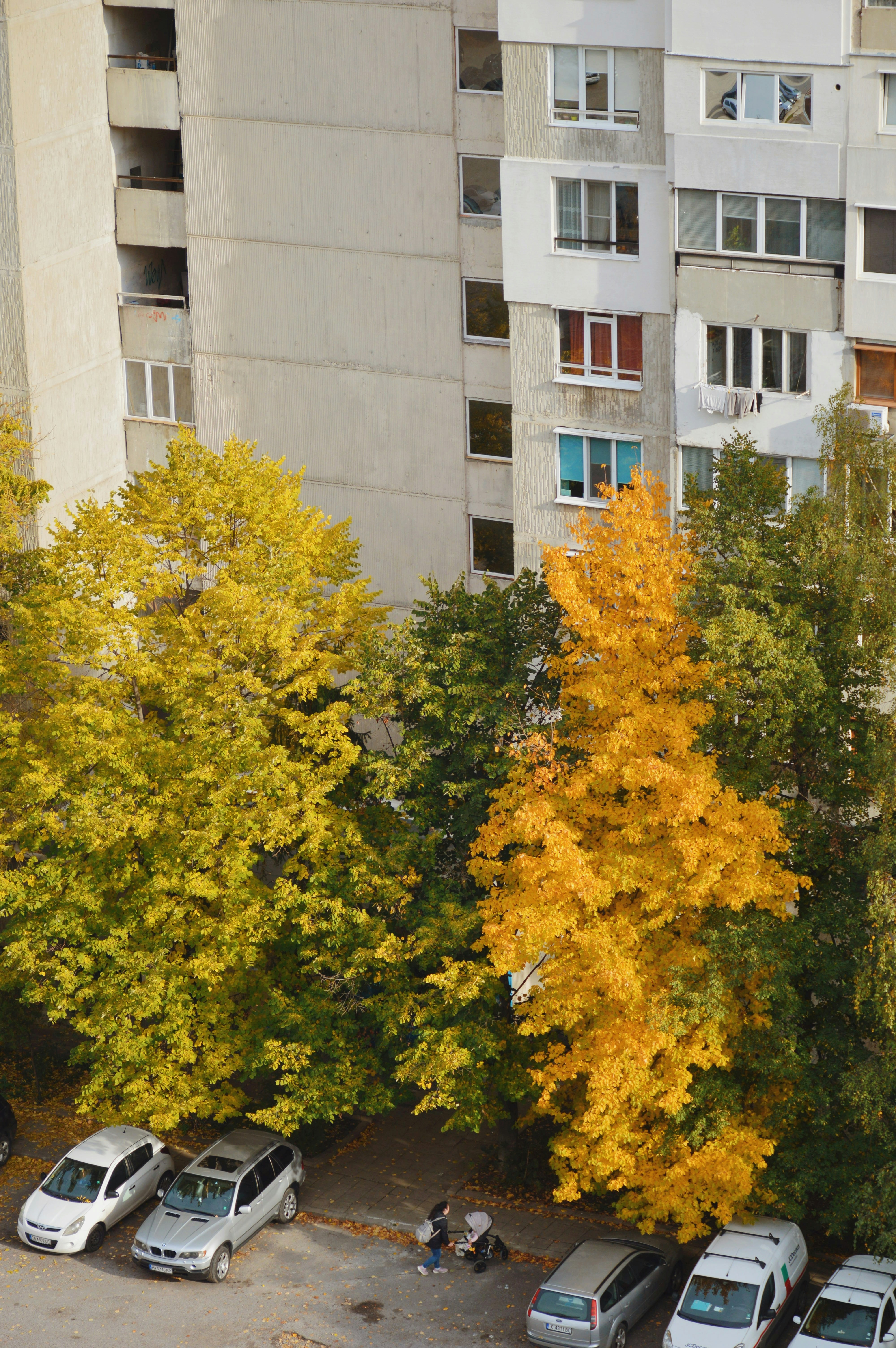 Photo by kodaky_lover