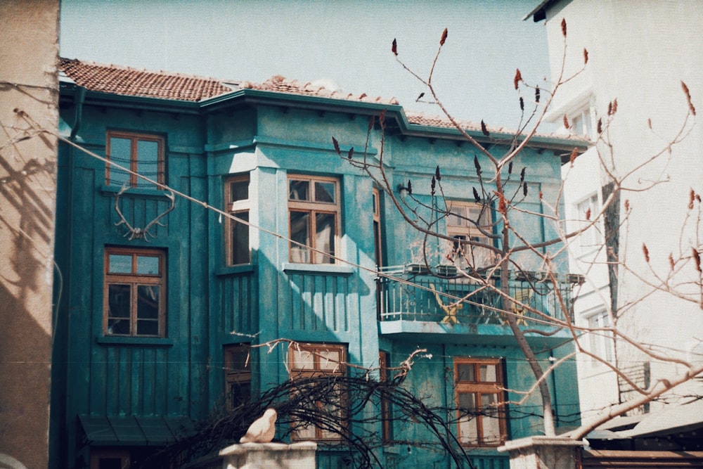 Un edificio blu con un albero di fronte ad esso