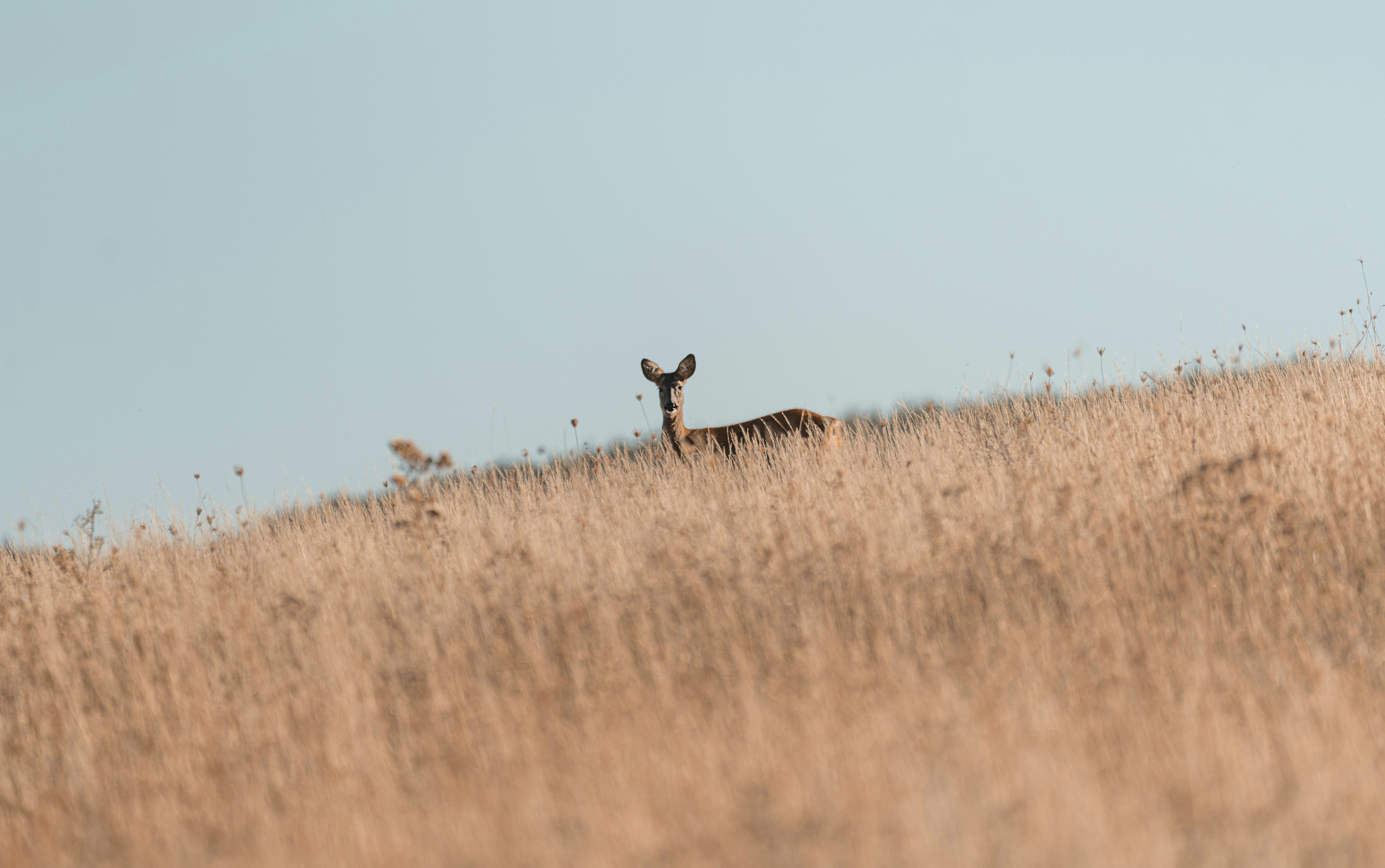 Photo by didiofederico_photographer