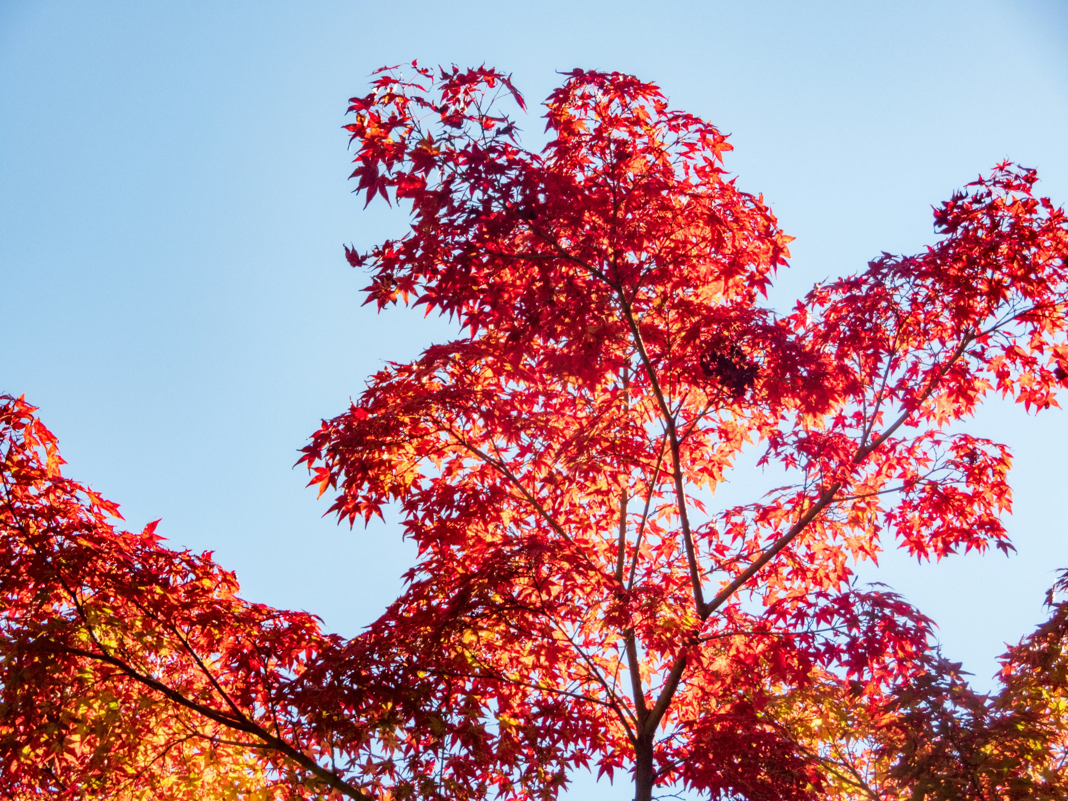 Photo by heppoko_yama