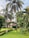 A large, well-maintained garden with a variety of tropical plants and trees, including multiple tall palm trees. A two-story house with a red-tiled roof and white walls is visible in the background, partially obscured by the foliage. Burgeoning greenery surrounds a neatly trimmed lawn with paved pathways and outdoor lamps on either side.