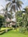 A large, well-maintained garden with a variety of tropical plants and trees, including multiple tall palm trees. A two-story house with a red-tiled roof and white walls is visible in the background, partially obscured by the foliage. Burgeoning greenery surrounds a neatly trimmed lawn with paved pathways and outdoor lamps on either side.