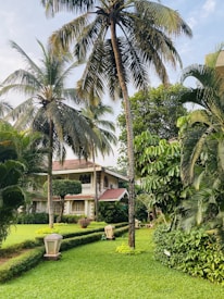 A large, well-maintained garden with a variety of tropical plants and trees, including multiple tall palm trees. A two-story house with a red-tiled roof and white walls is visible in the background, partially obscured by the foliage. Burgeoning greenery surrounds a neatly trimmed lawn with paved pathways and outdoor lamps on either side.