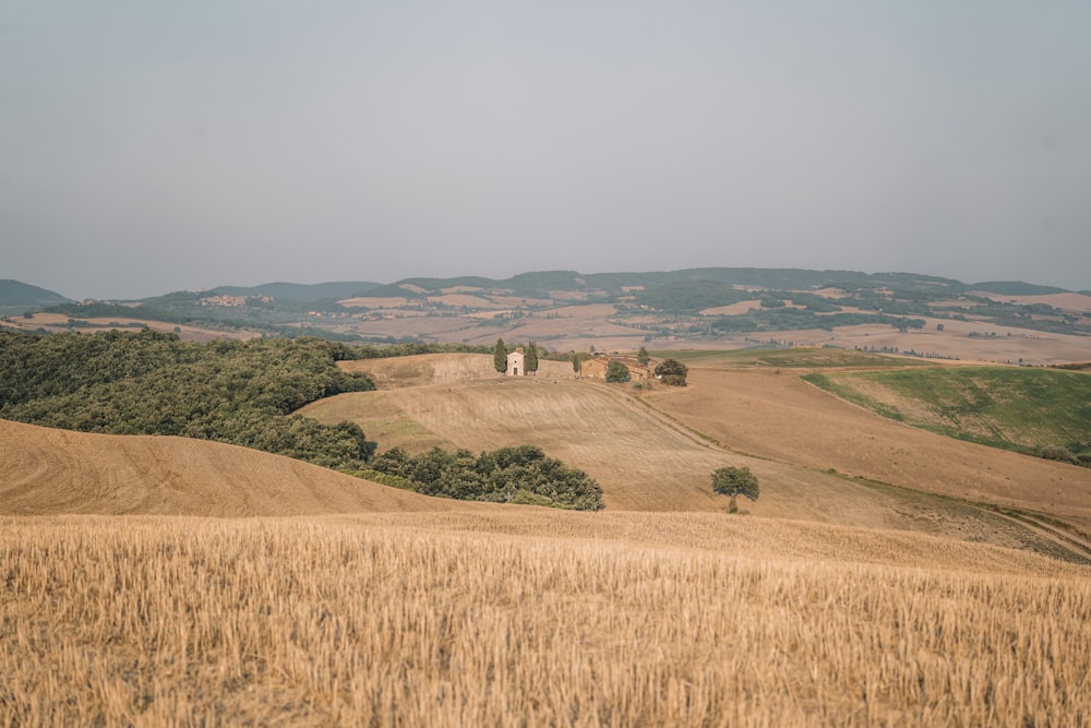 a field with a few trees and hills in the background