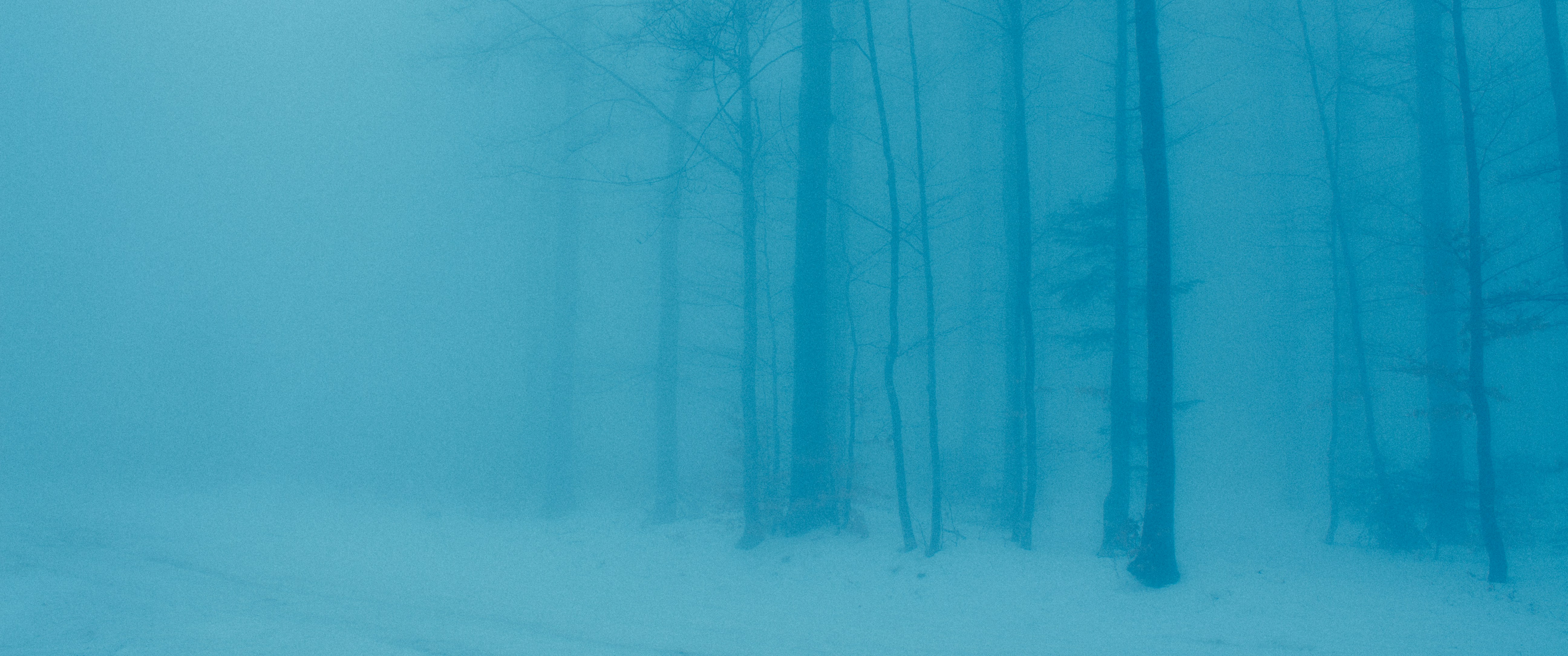 Photo by darkindigo88