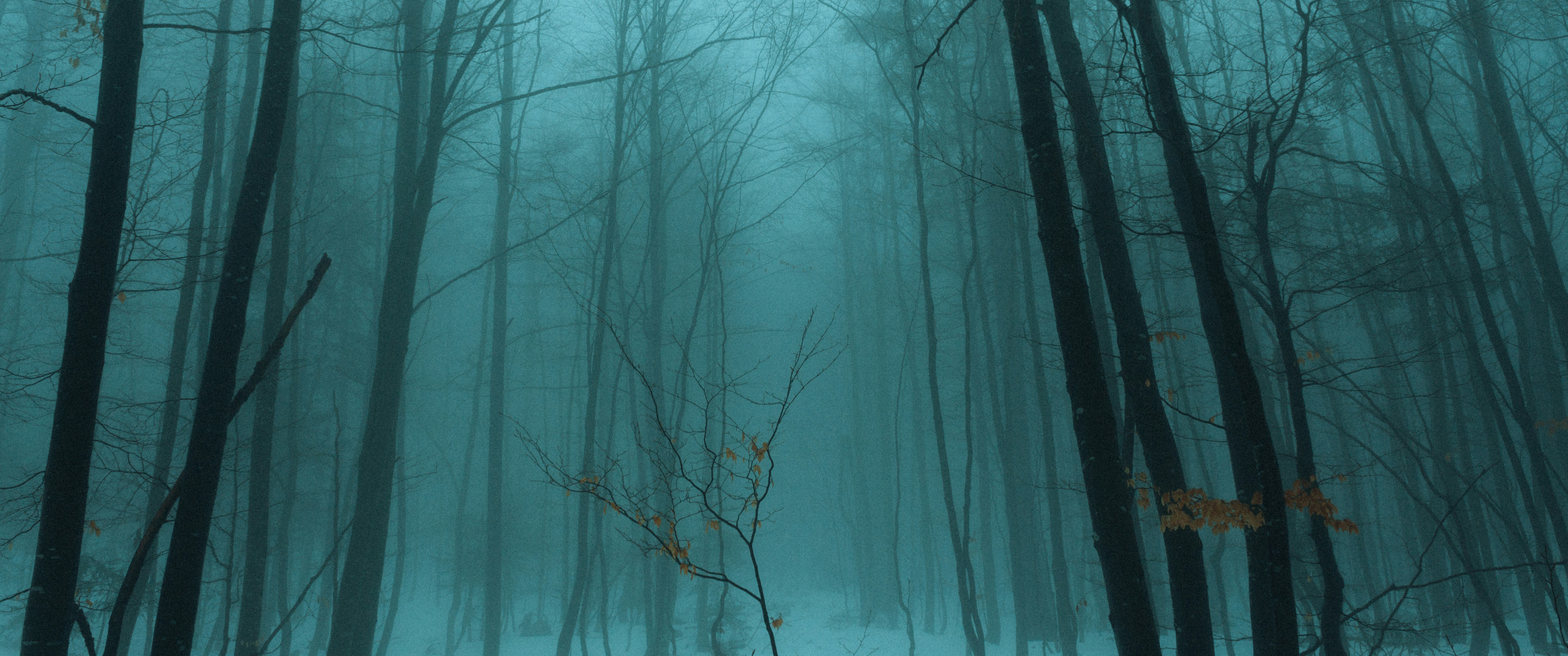 Photo by darkindigo88